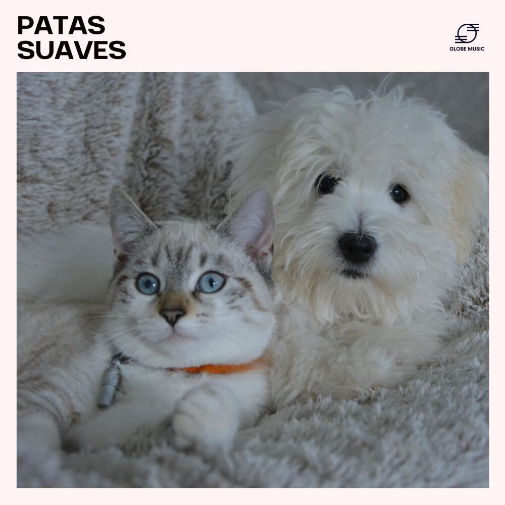 Academia de Música para Animais