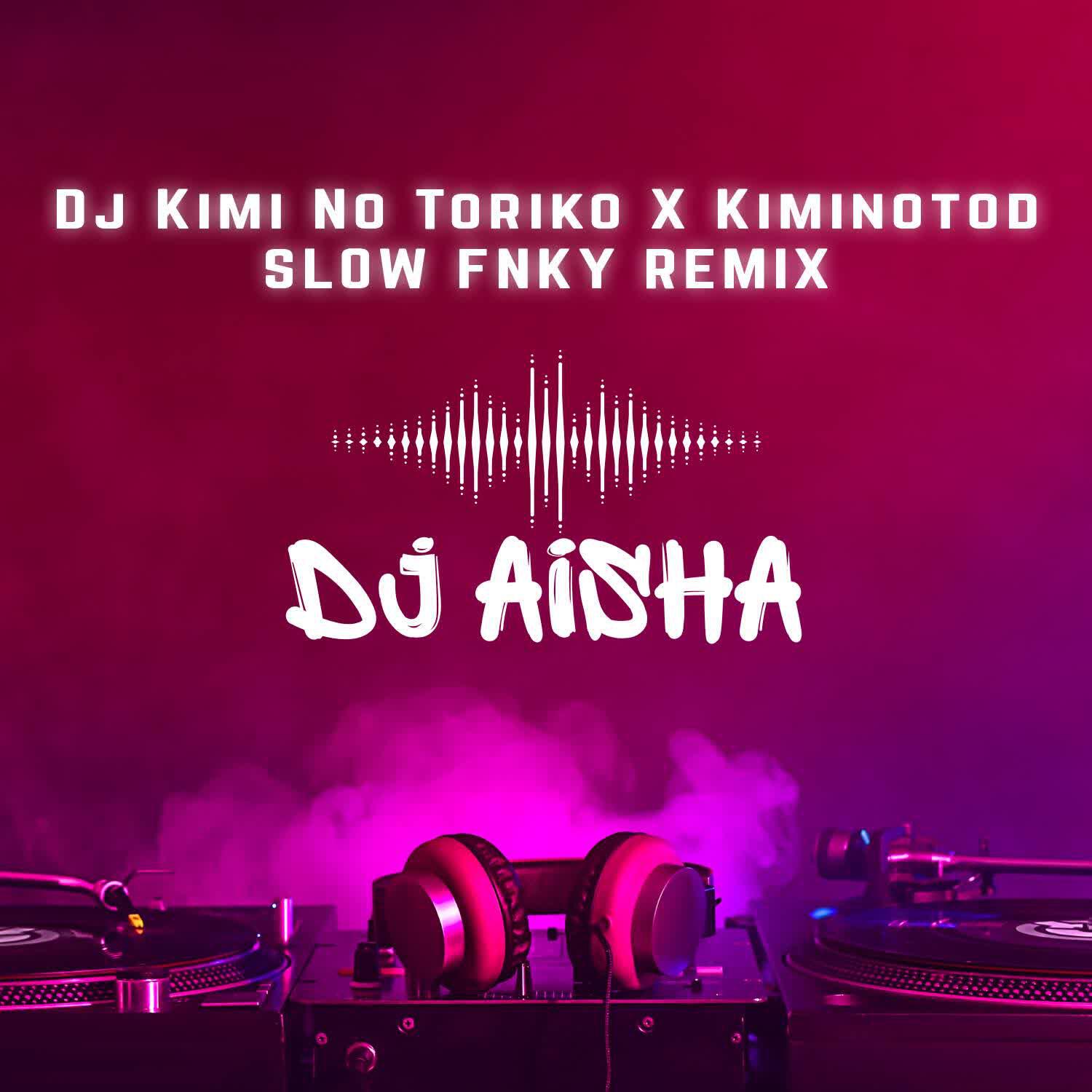 DJ AISHA