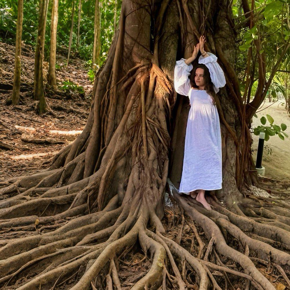 Релиз Roots