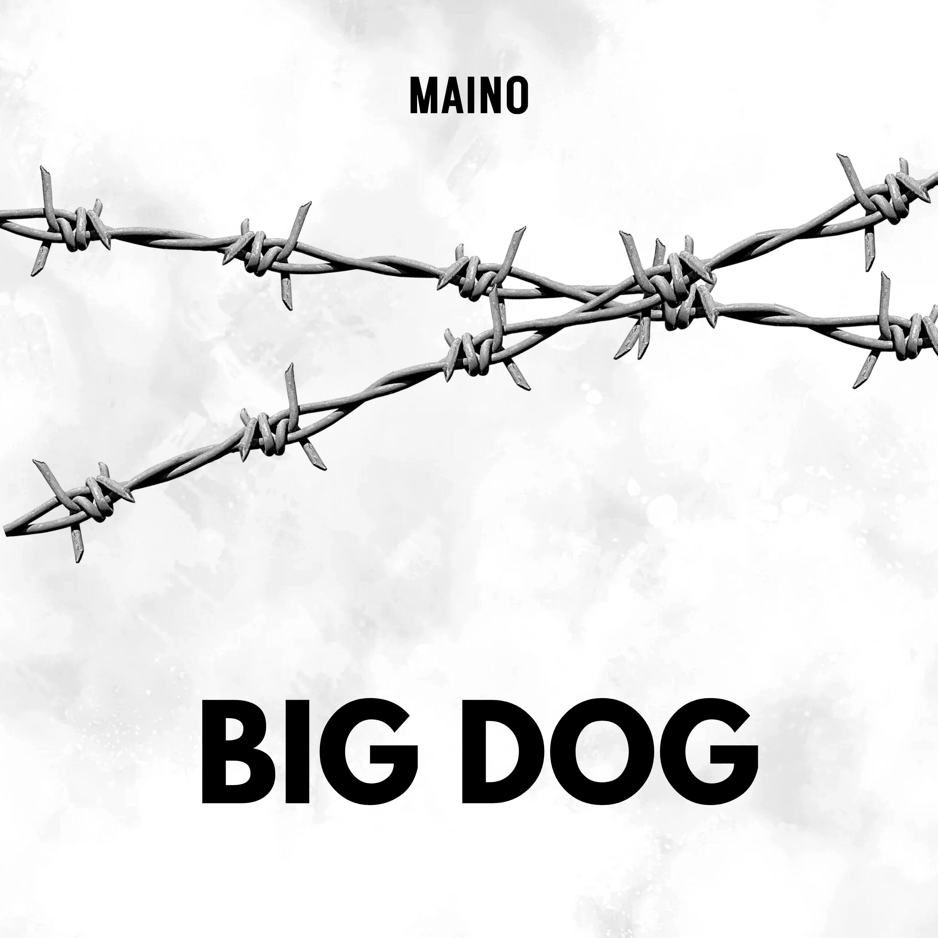 Релиз Big Dog