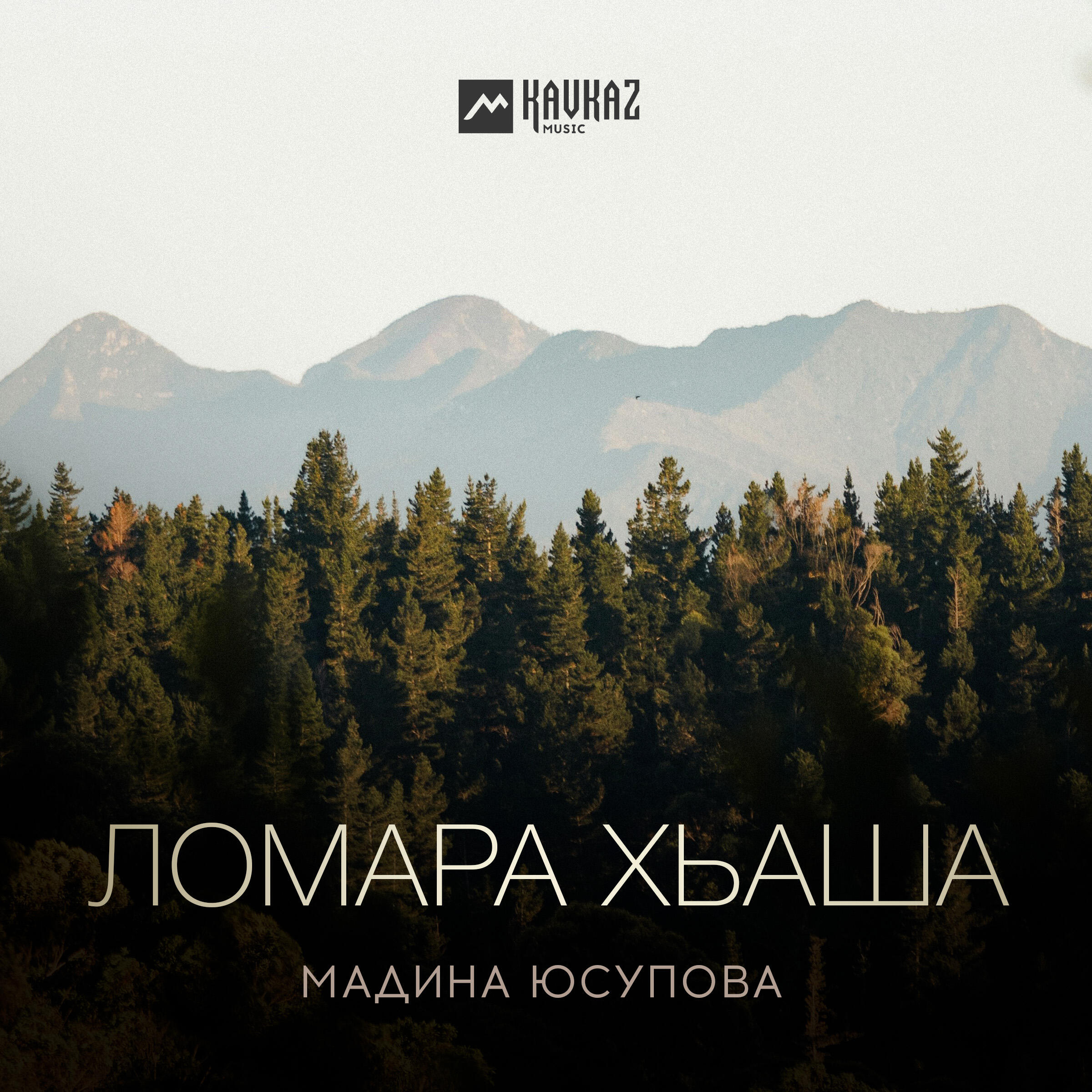 Релиз Ломара хьаша