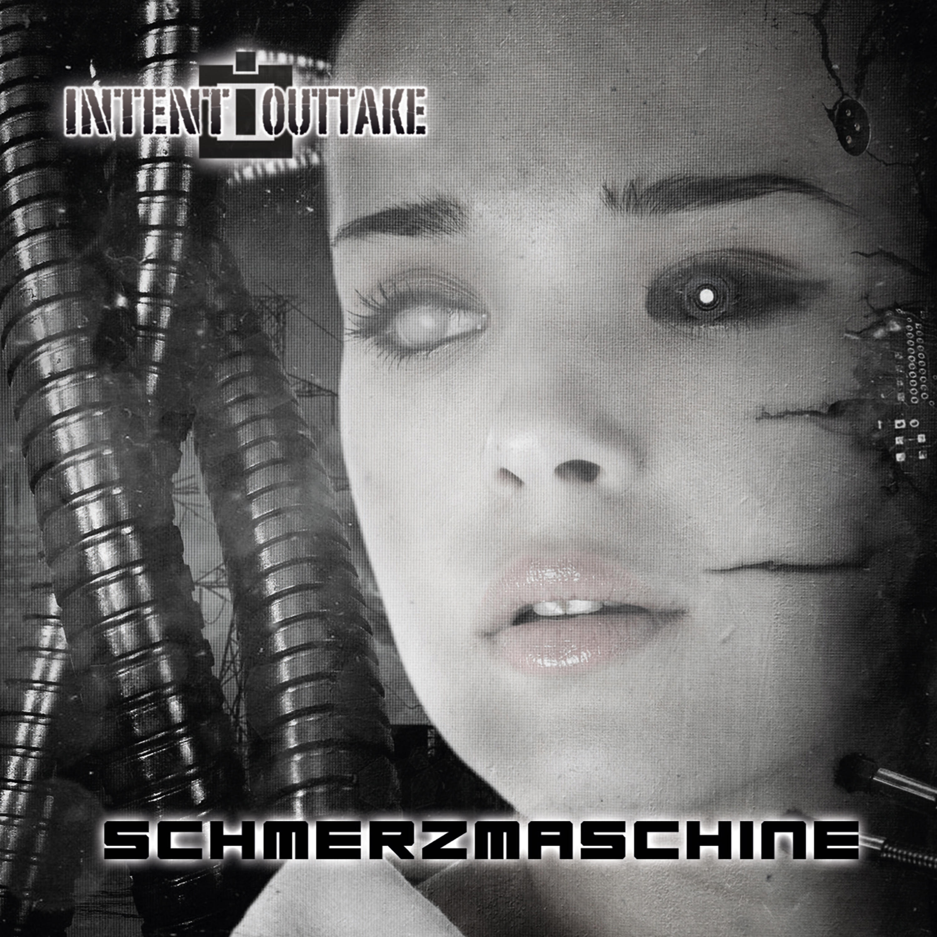 Релиз Schmerzmaschine