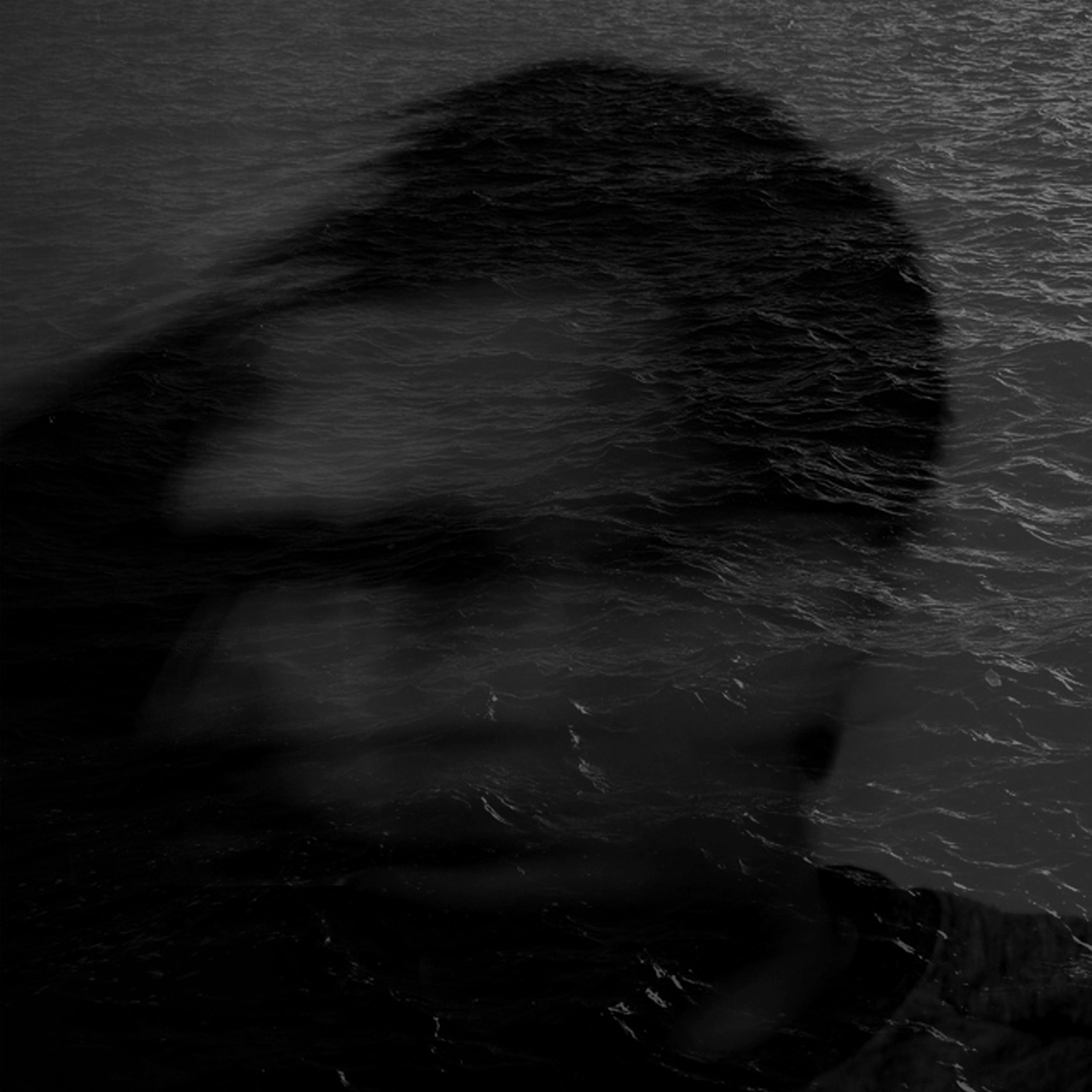 Релиз Bayou