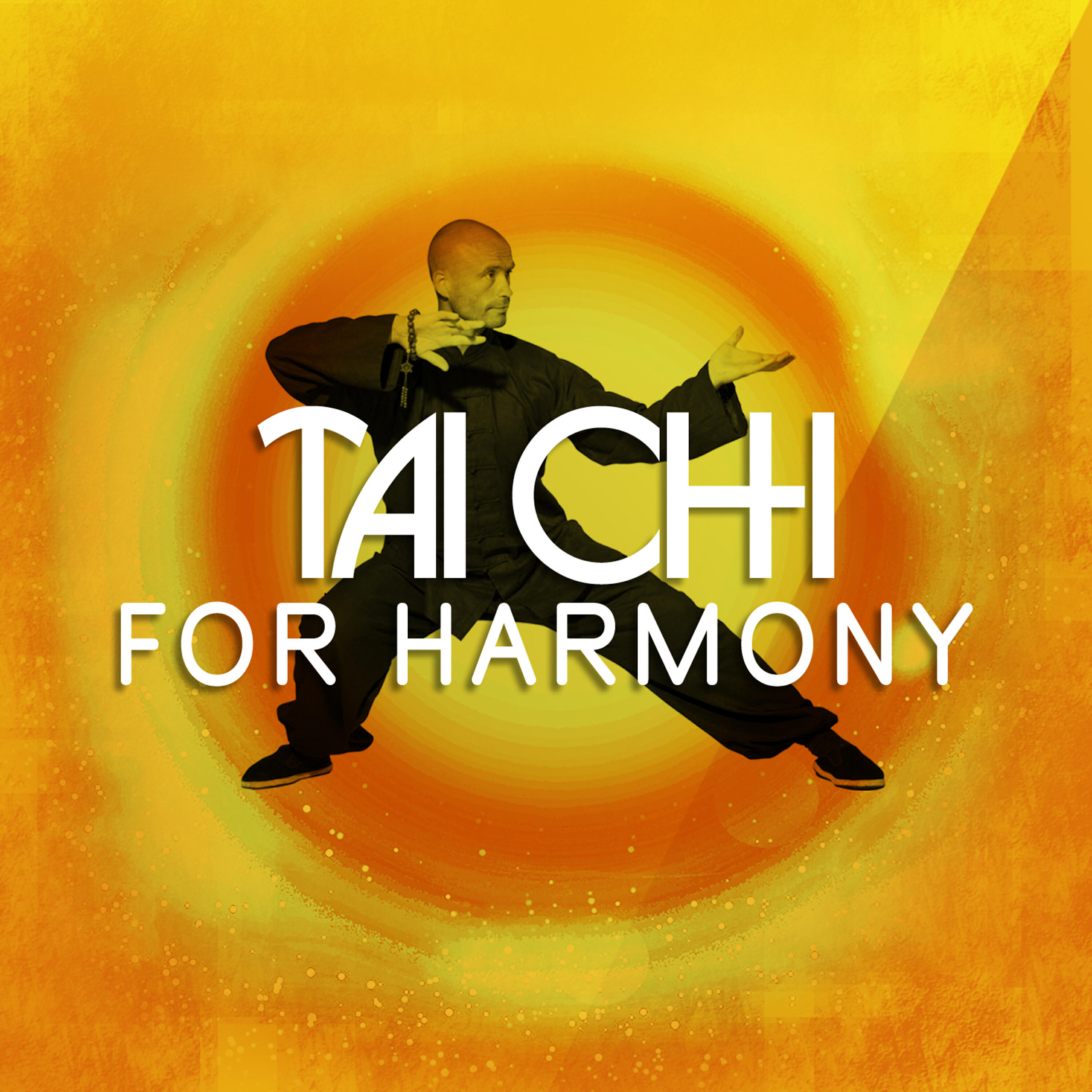 Релиз Tai Chi for Harmony