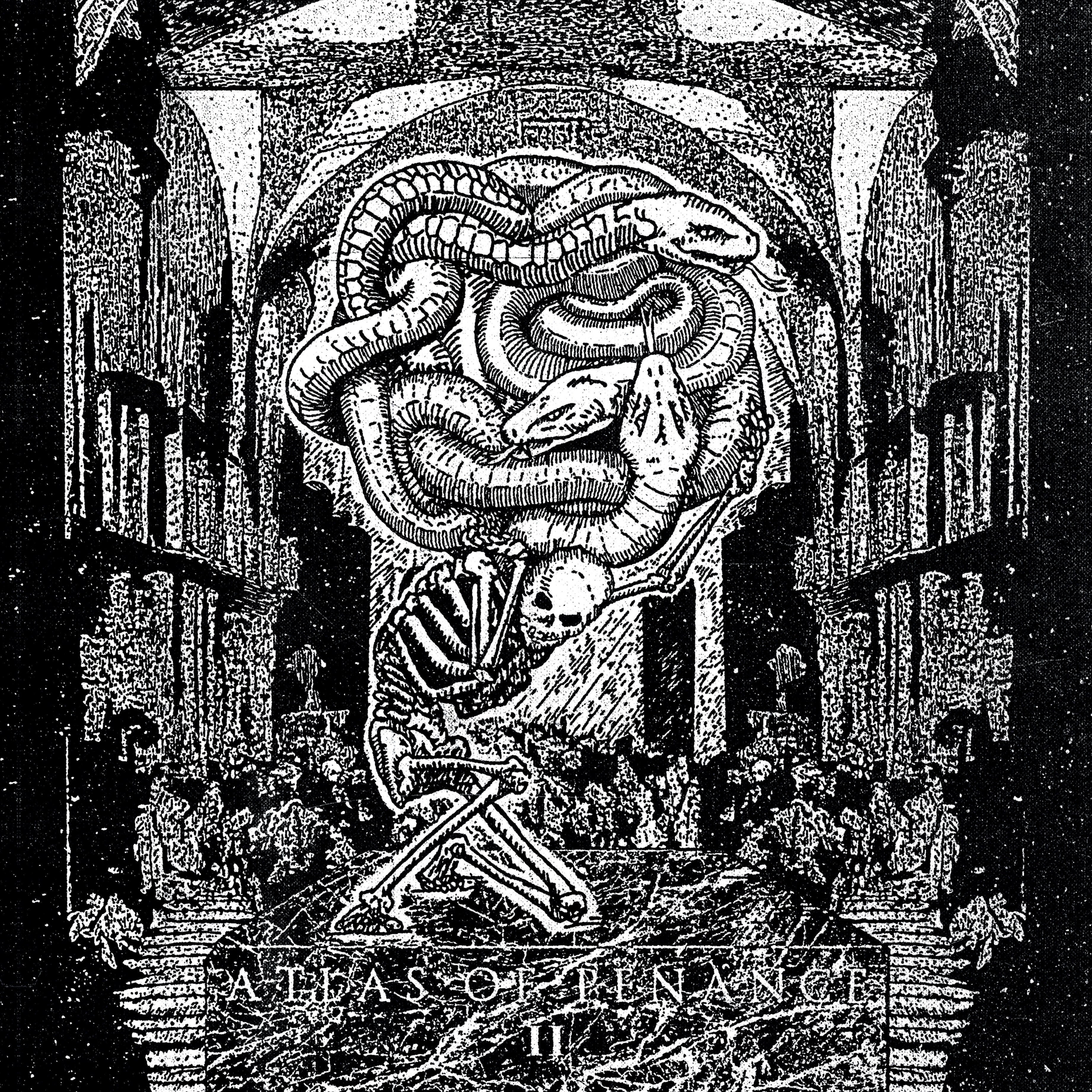 Black Potion
