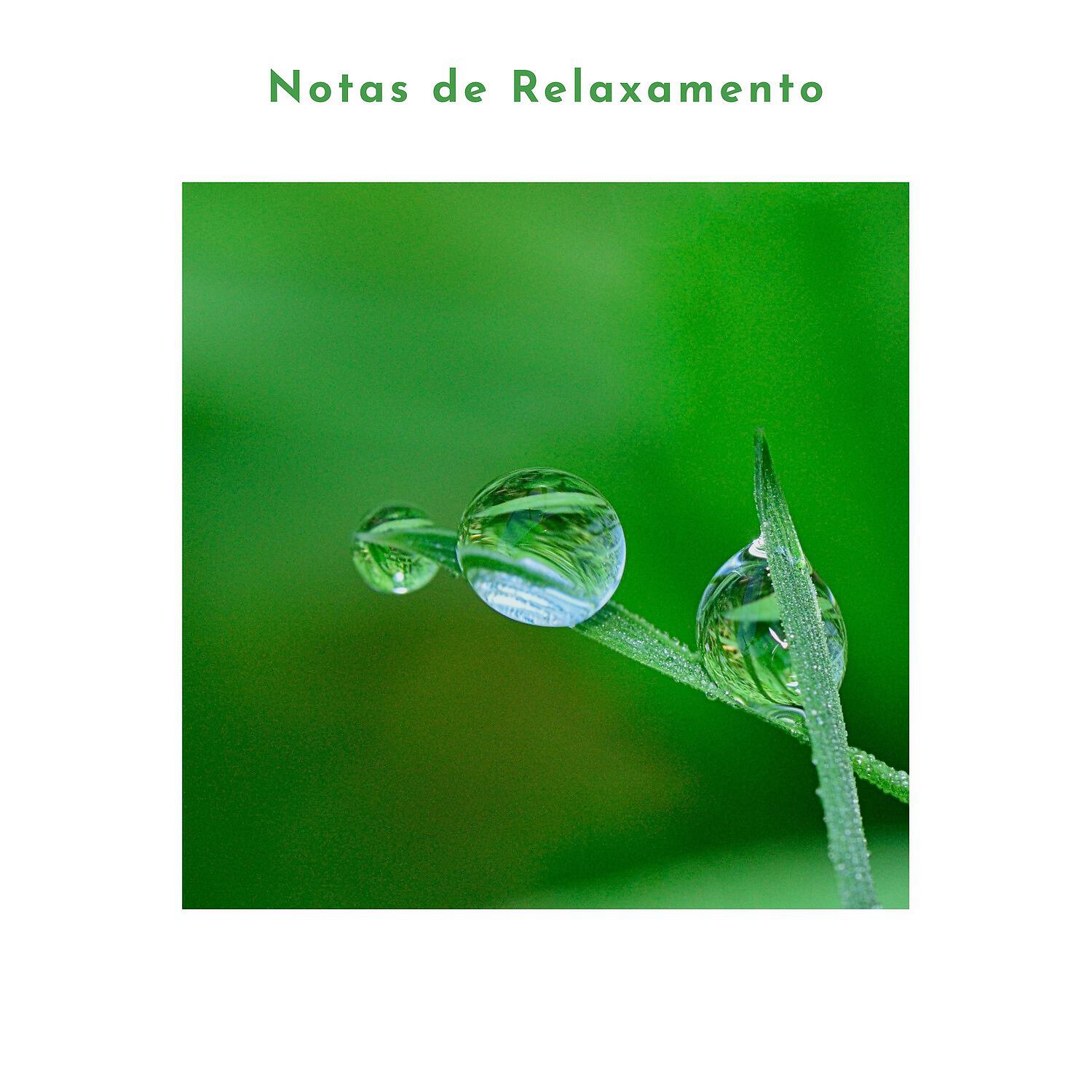 Релиз Notas de Relaxamento