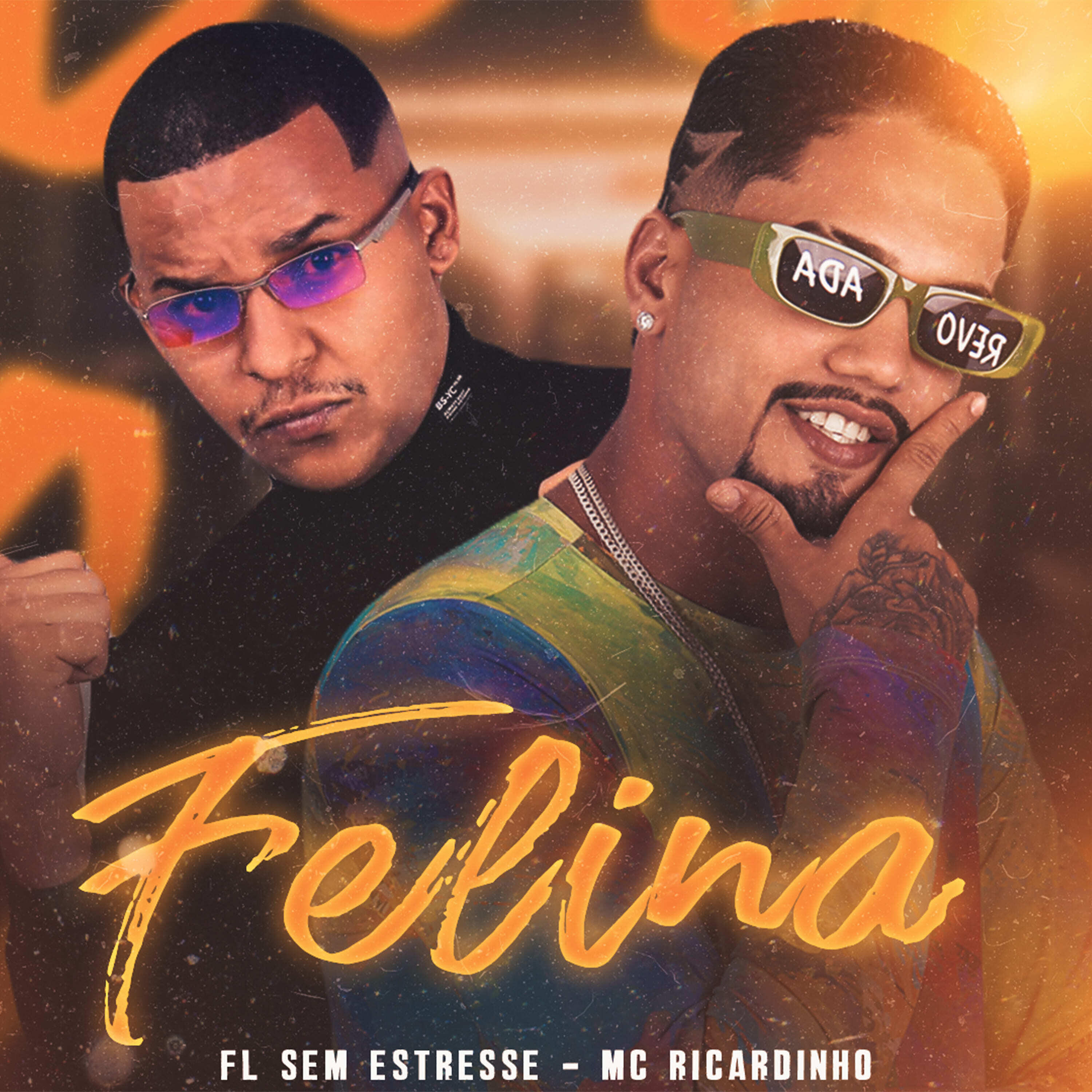 Скачать песню MC Ricardinho, Fl Sem Estresse, Neurose no Beat - Felina бесплатно в MP3 для Android и iOS