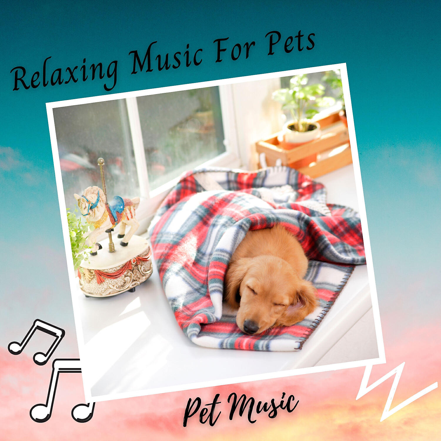Релиз Pet Music: Relaxing Music For Pets