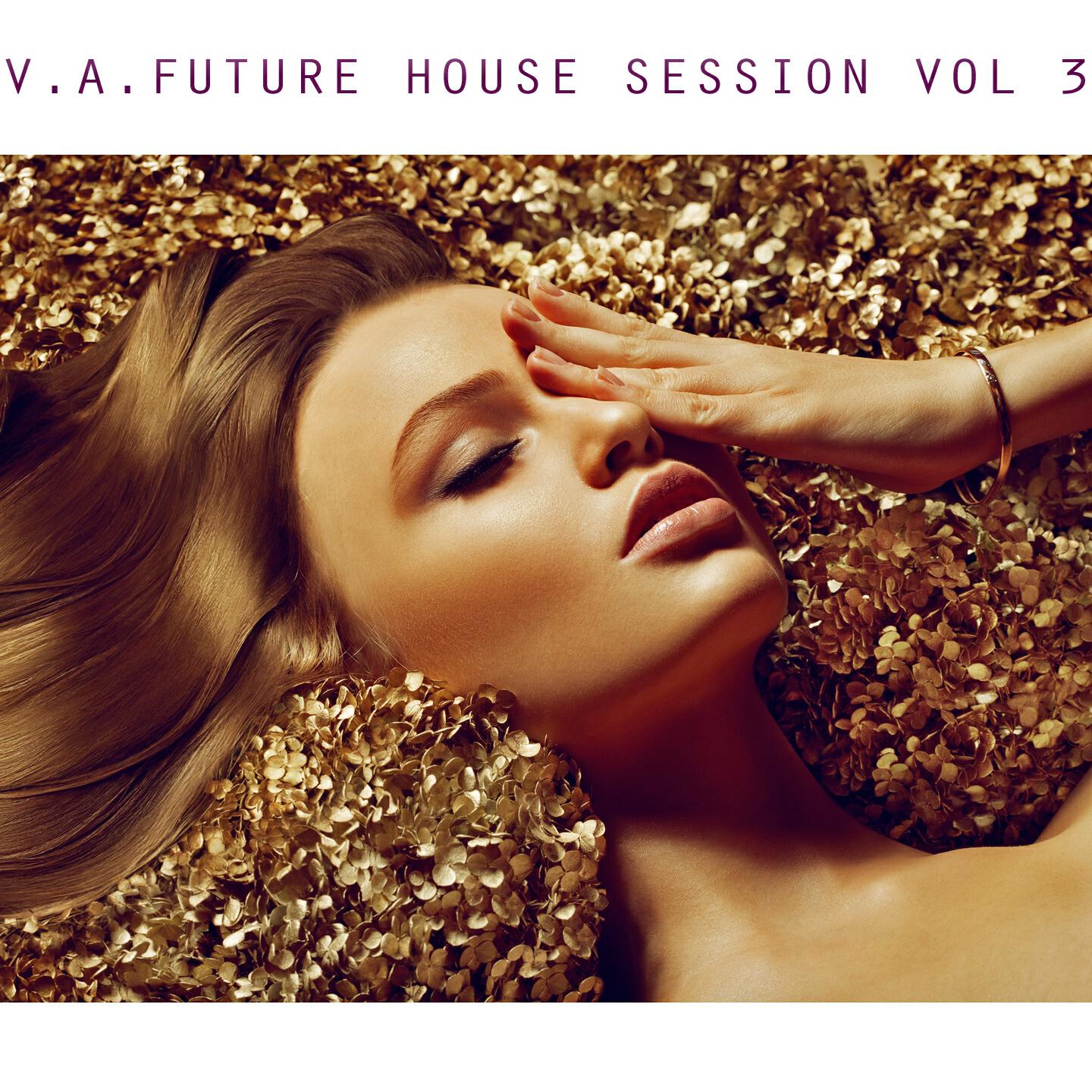 Релиз V.A. Future House Session, Vol. 3