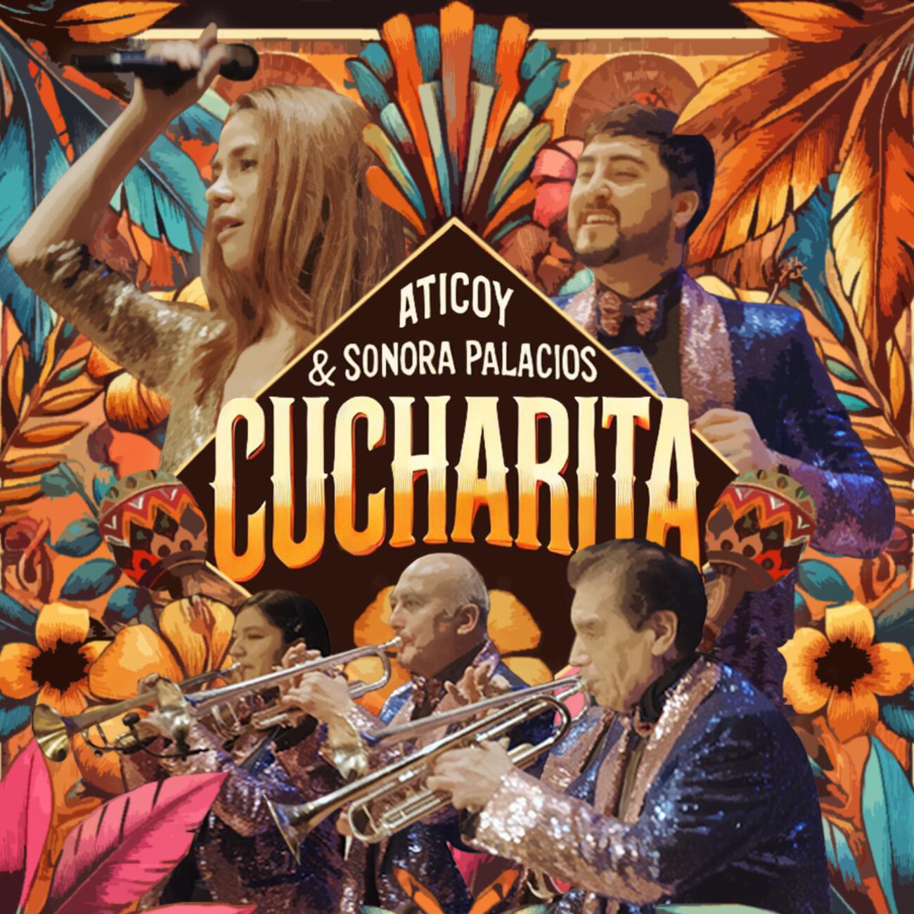 Релиз Cucharita