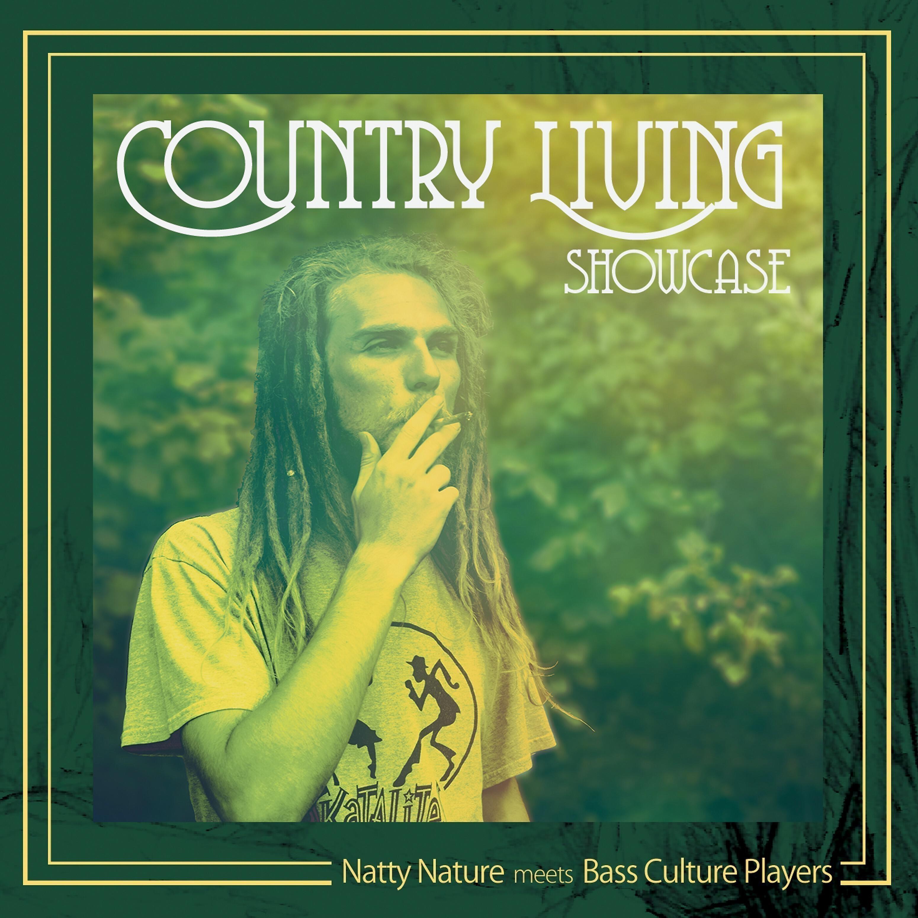 Скачать песню Natty Nature, Bass Culture Players - Worldwide Crisis бесплатно в MP3 для Android и iOS