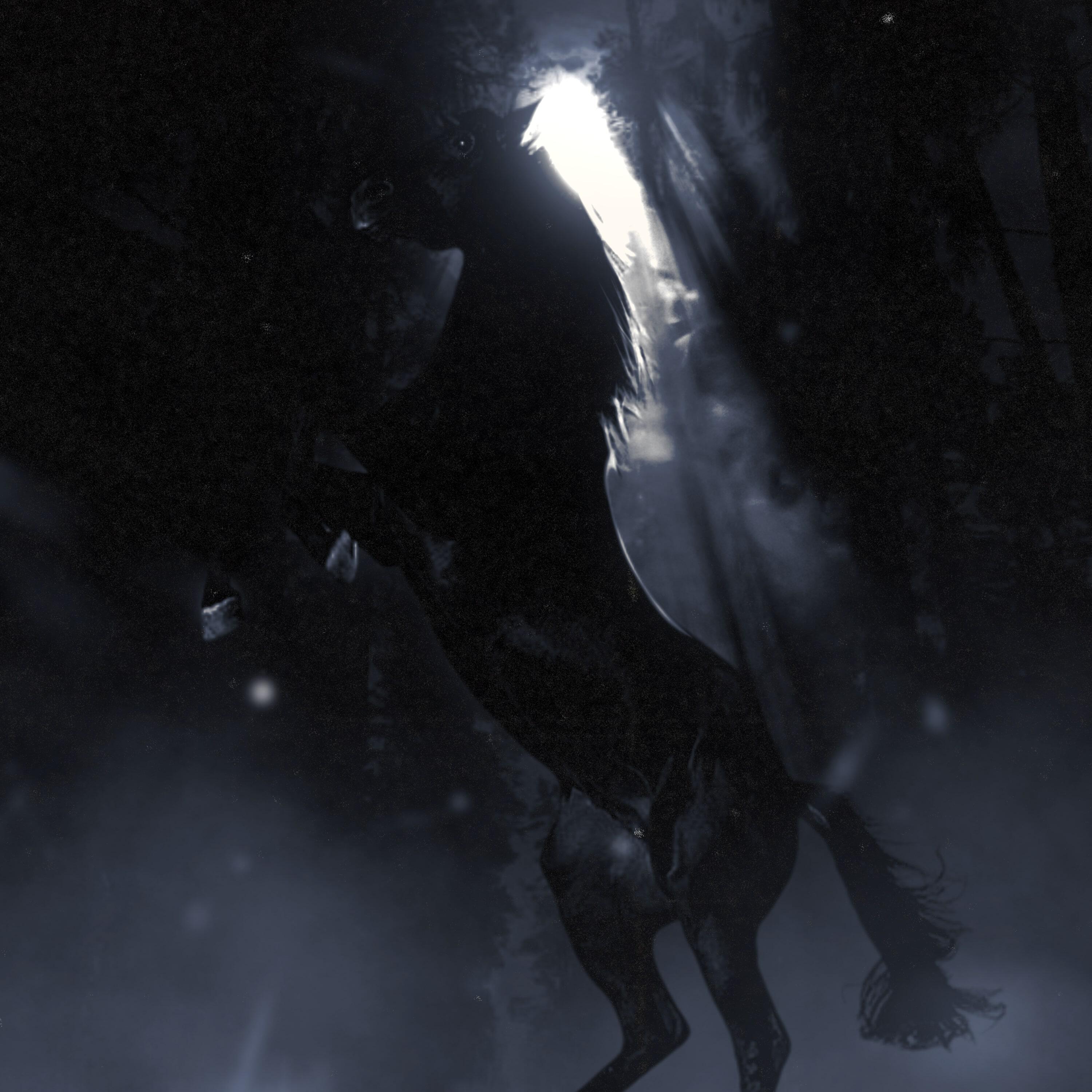 Релиз BLACK HORSE