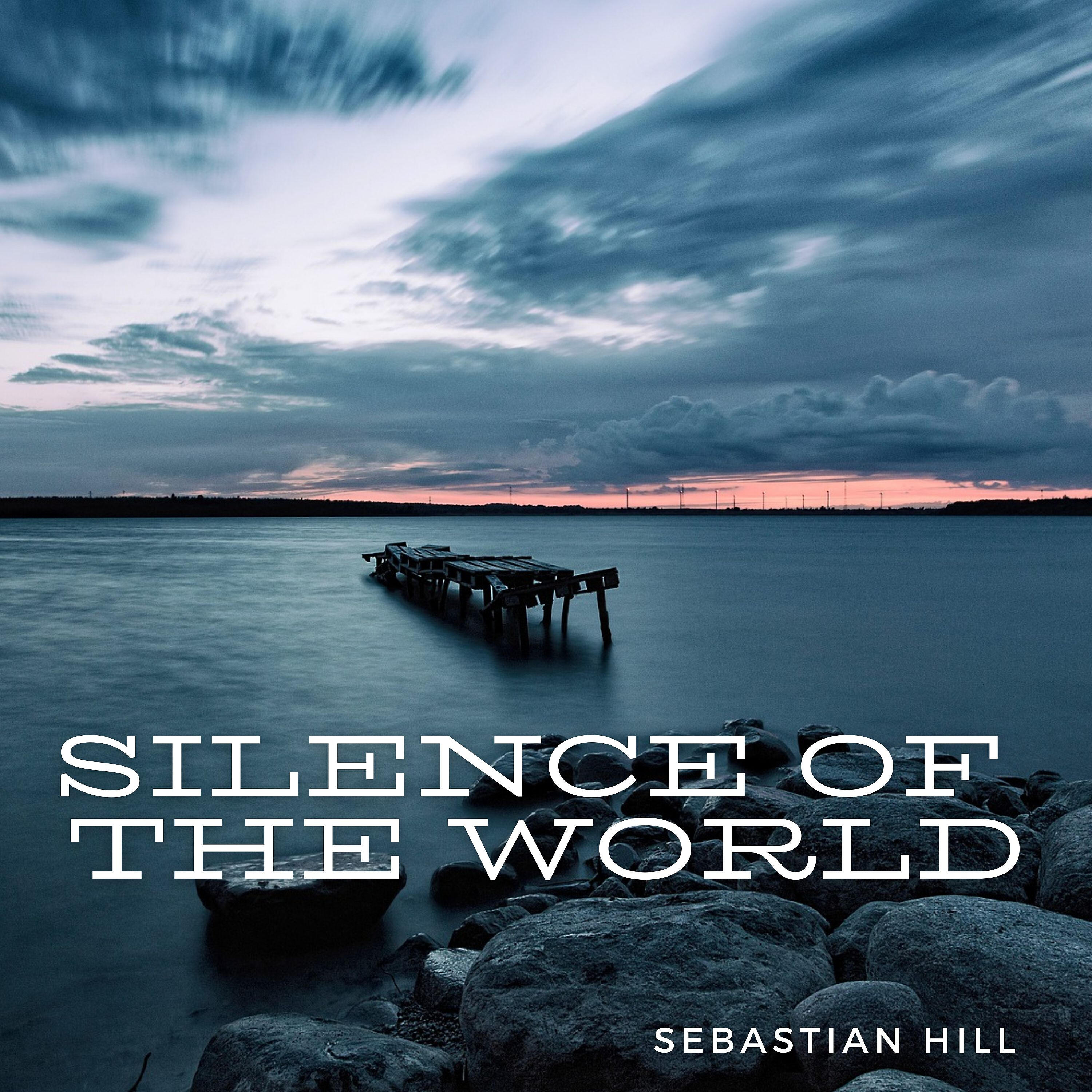 Релиз Silence of the World