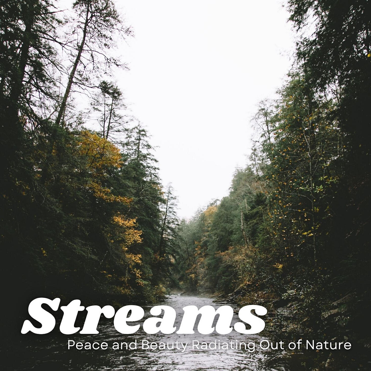 1 Hour Meditation & Yoga & Massage Music Guru - Crystal Clear Stream