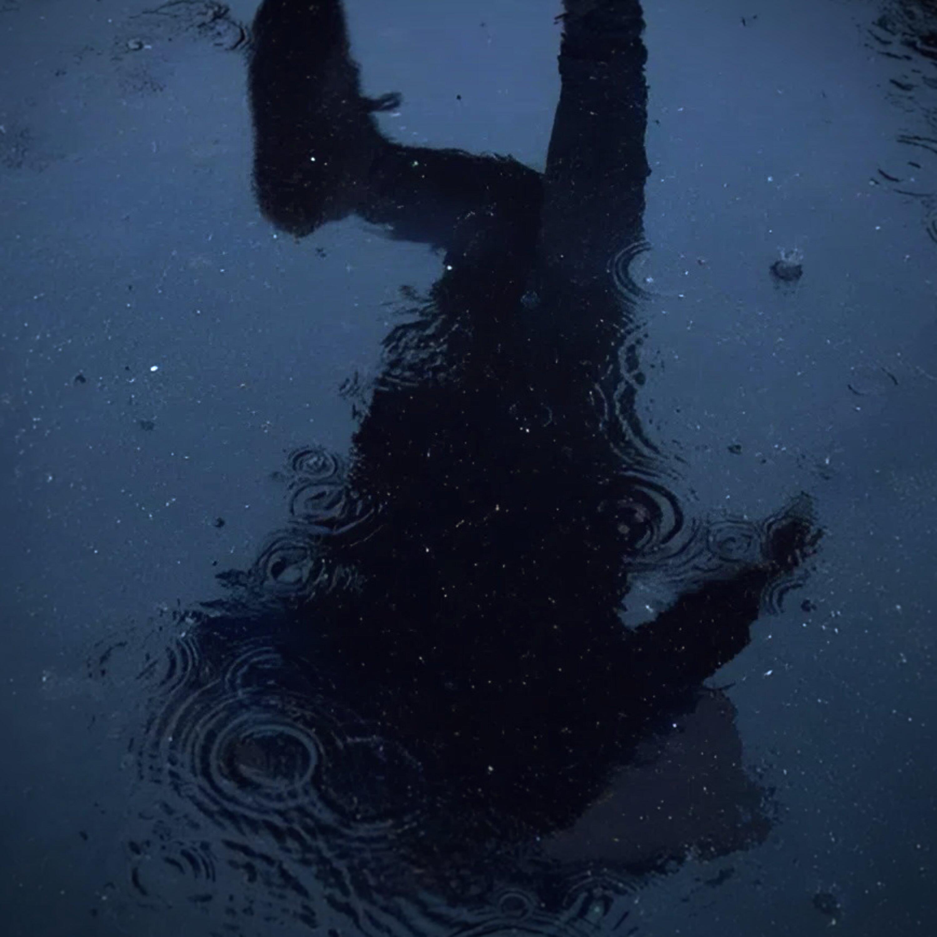 Релиз silent rain