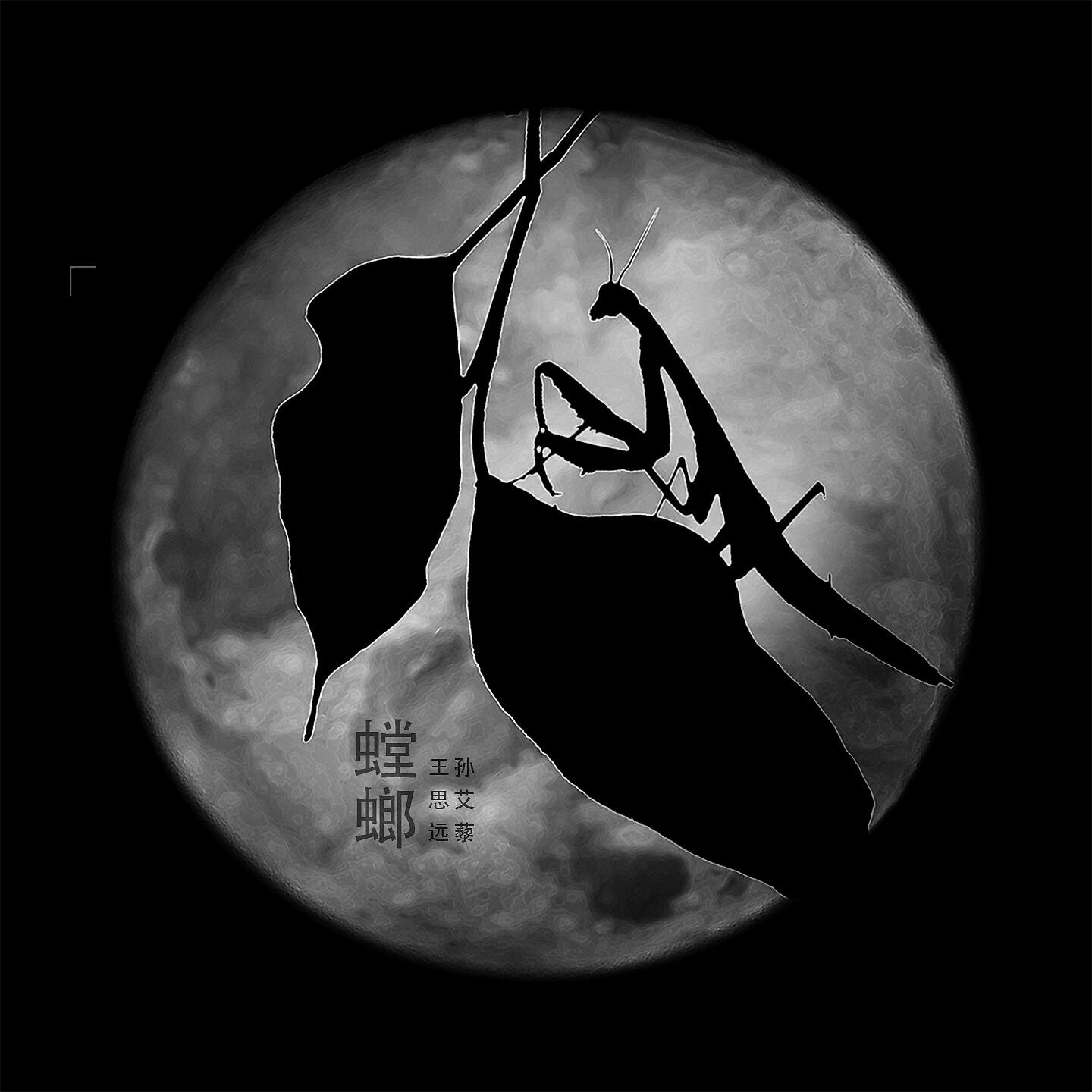 王思远
