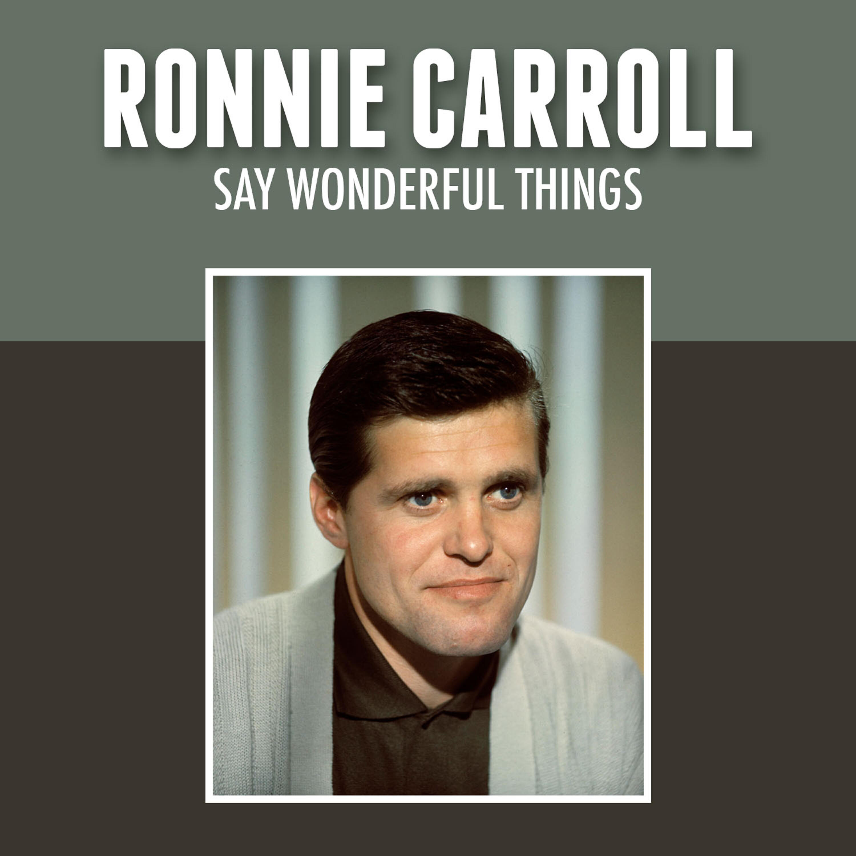 Релиз Say Wonderful Things