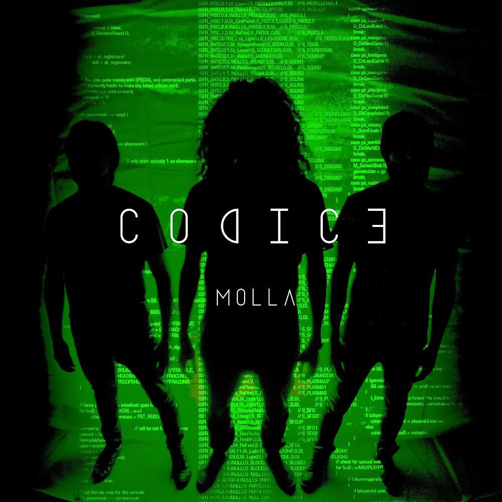 Релиз Molla