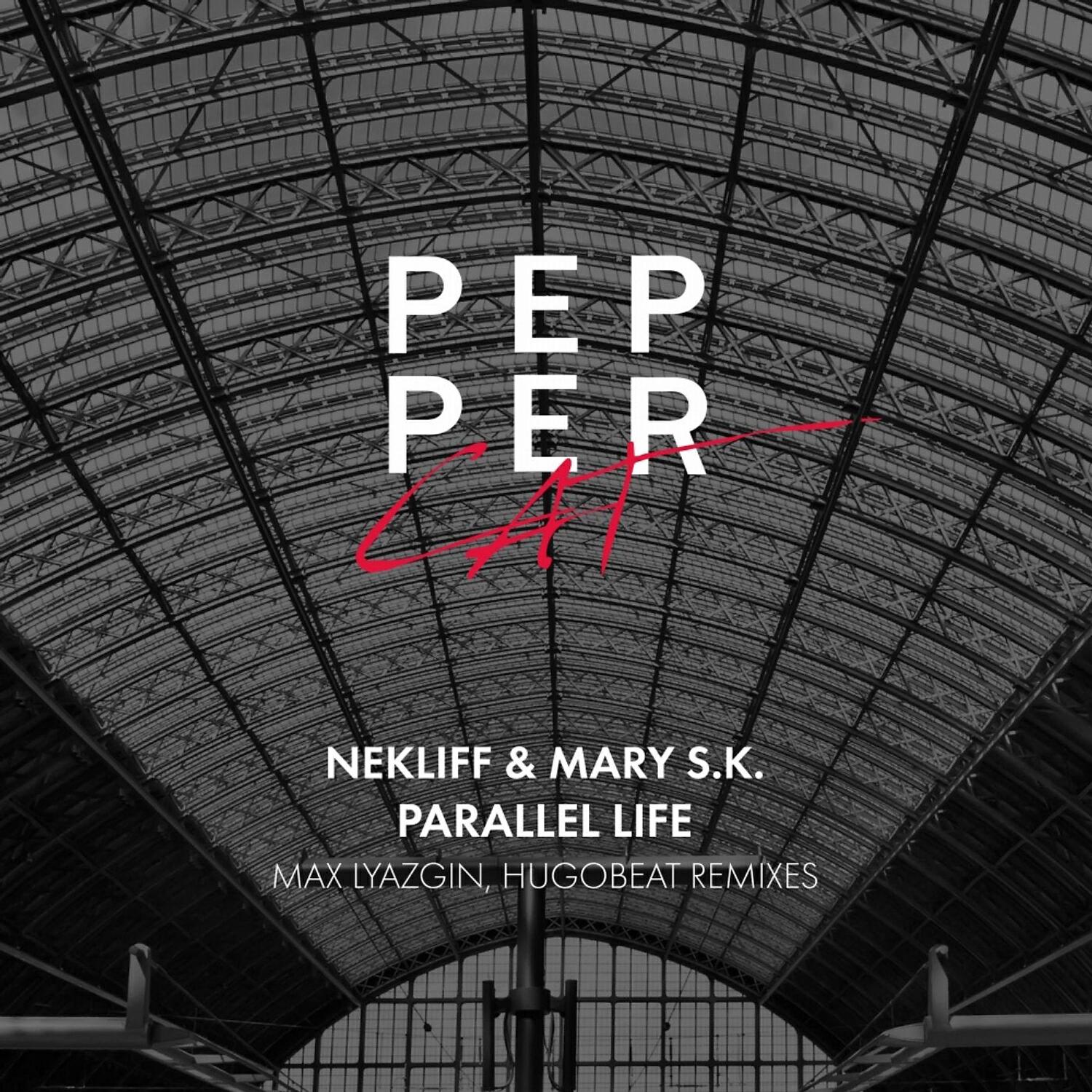 Постер альбома Parallel Life