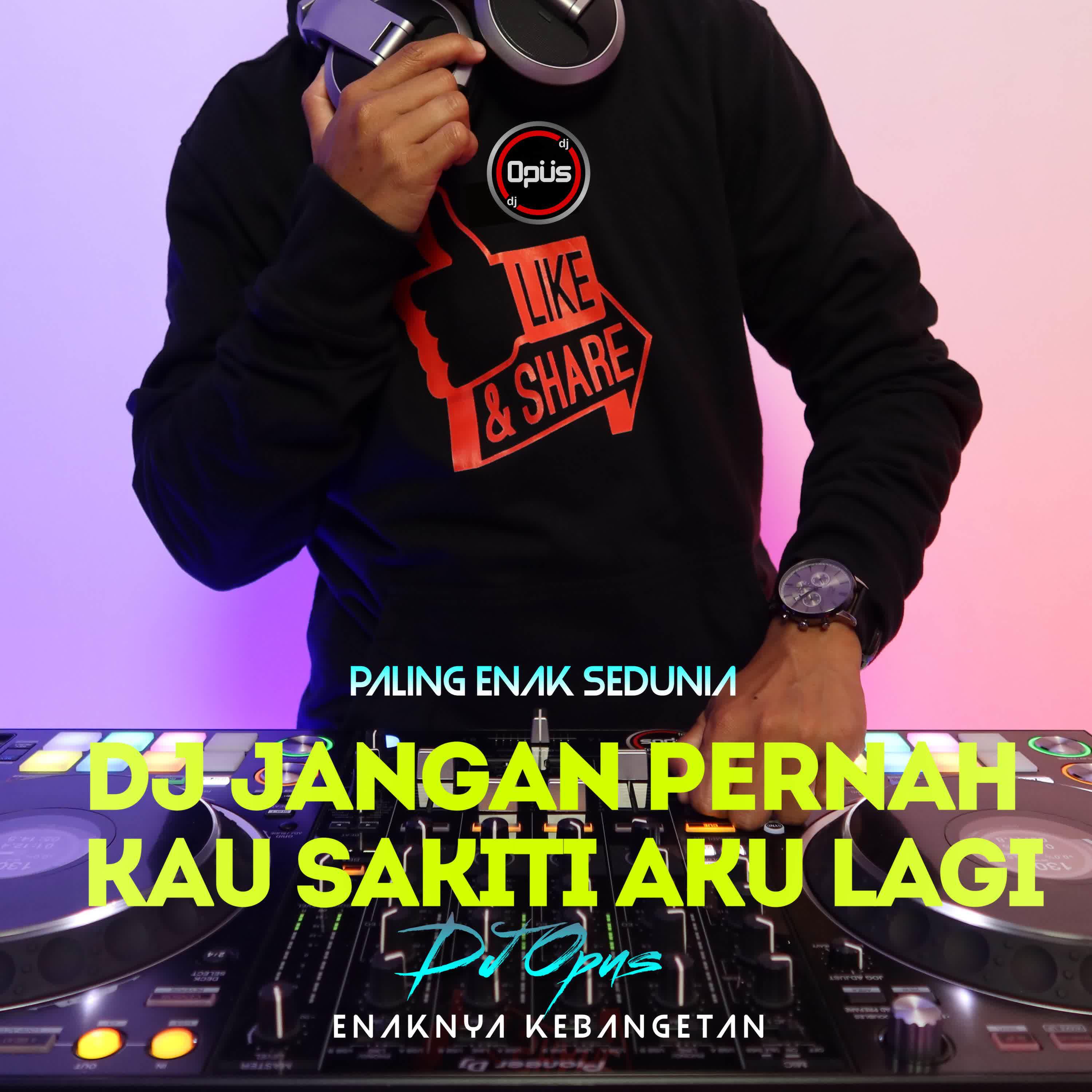 Релиз DJ Jangan Pernah Kau Sakiti Aku Lagi