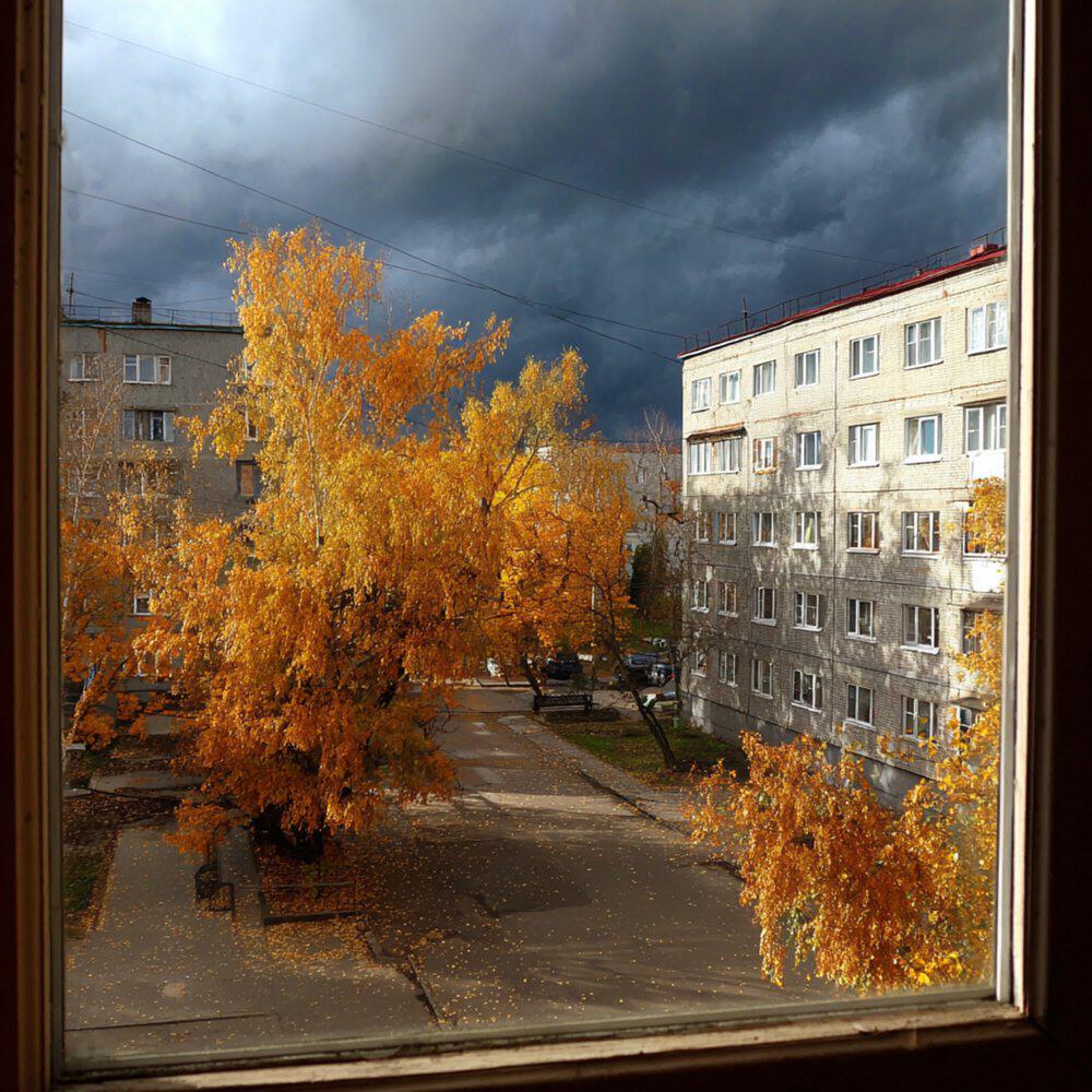 Релиз Бродяга ветер