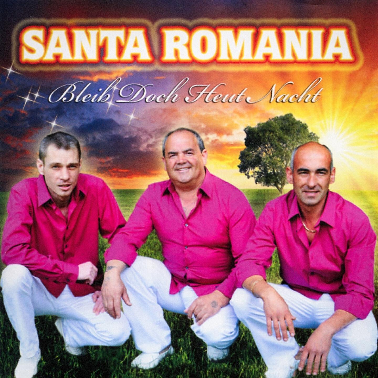 Релиз Bleib doche heut Nacht
