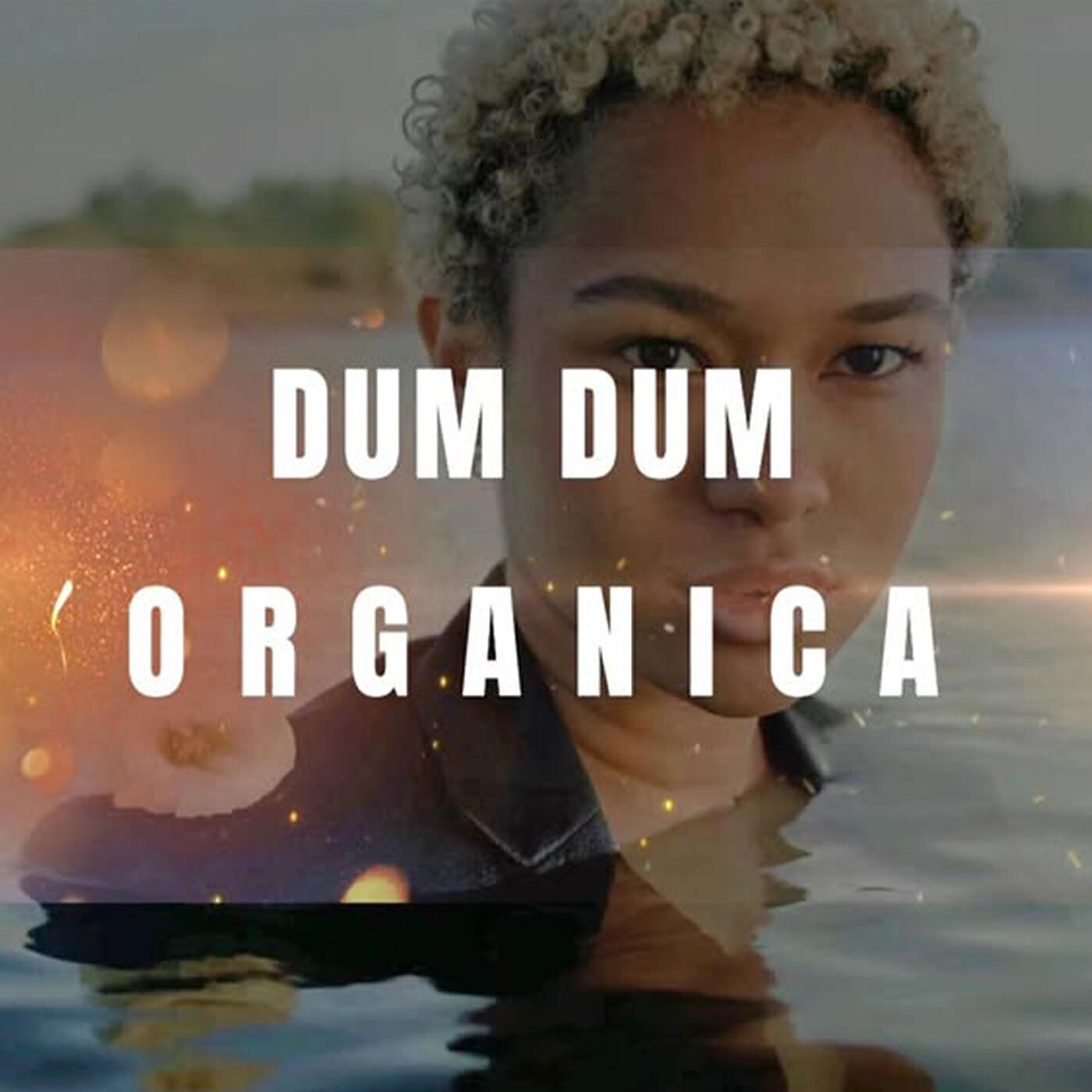 Релиз Dum Dum