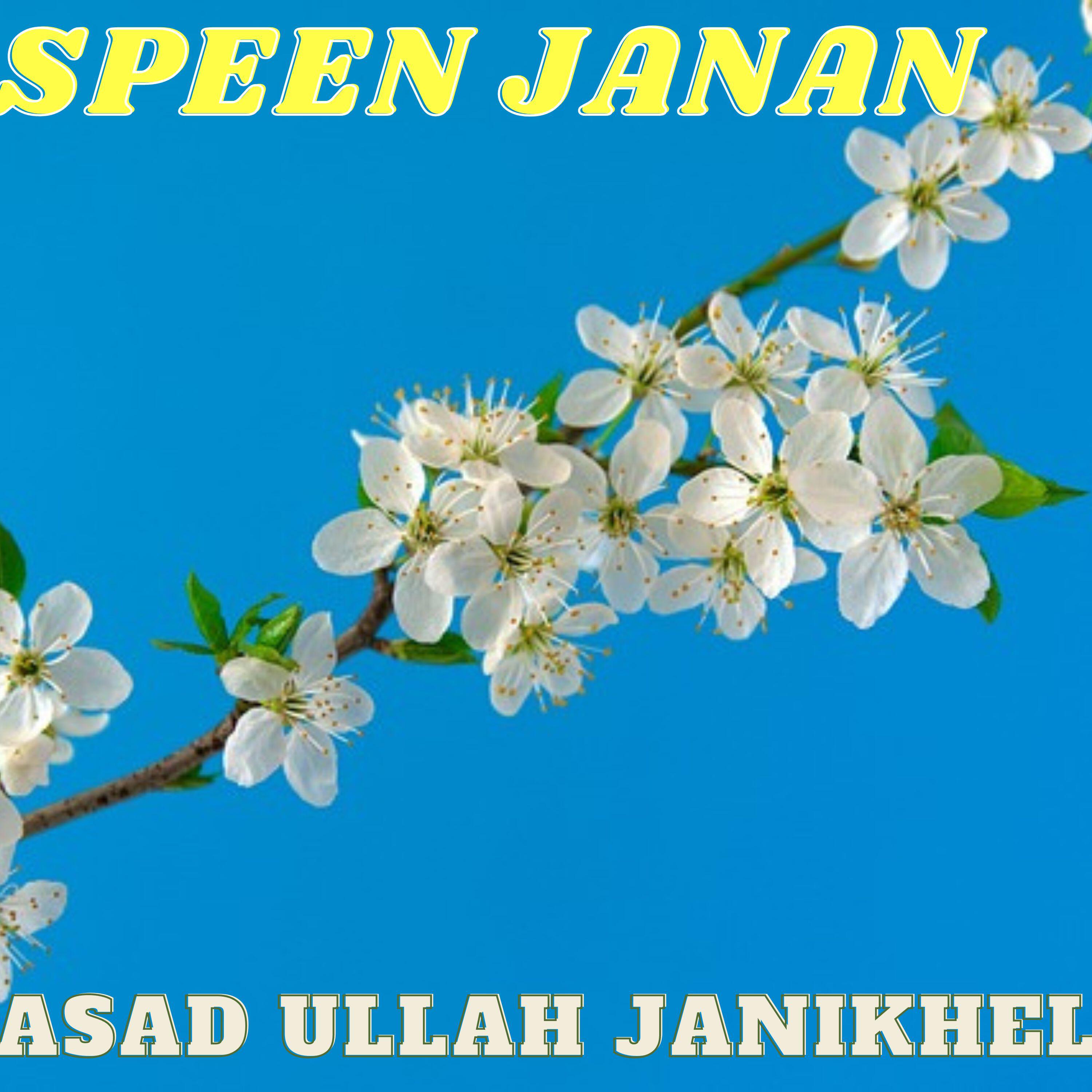 Релиз Speen Janan