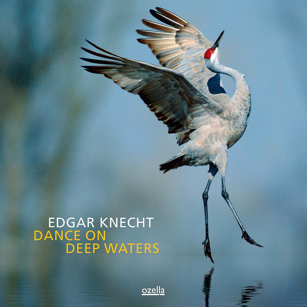 Релиз Dance On Deep Waters