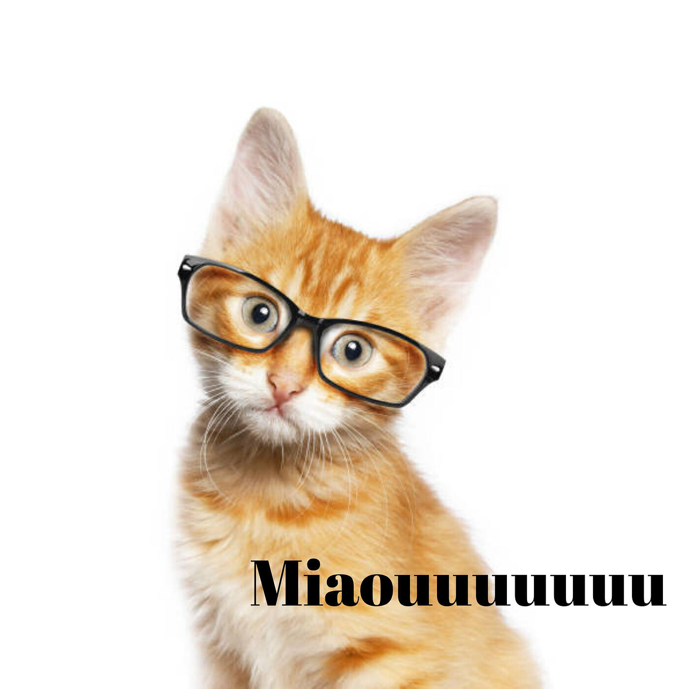 Релиз Miaouuuuuuu