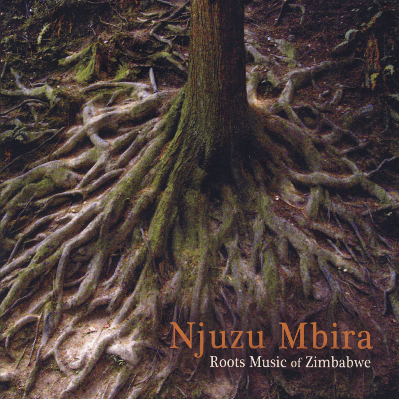 Njuzu Mbira