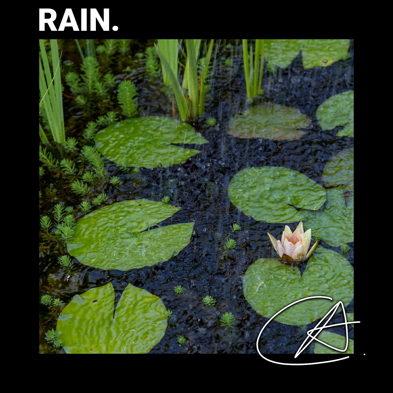 Релиз Rainy Night