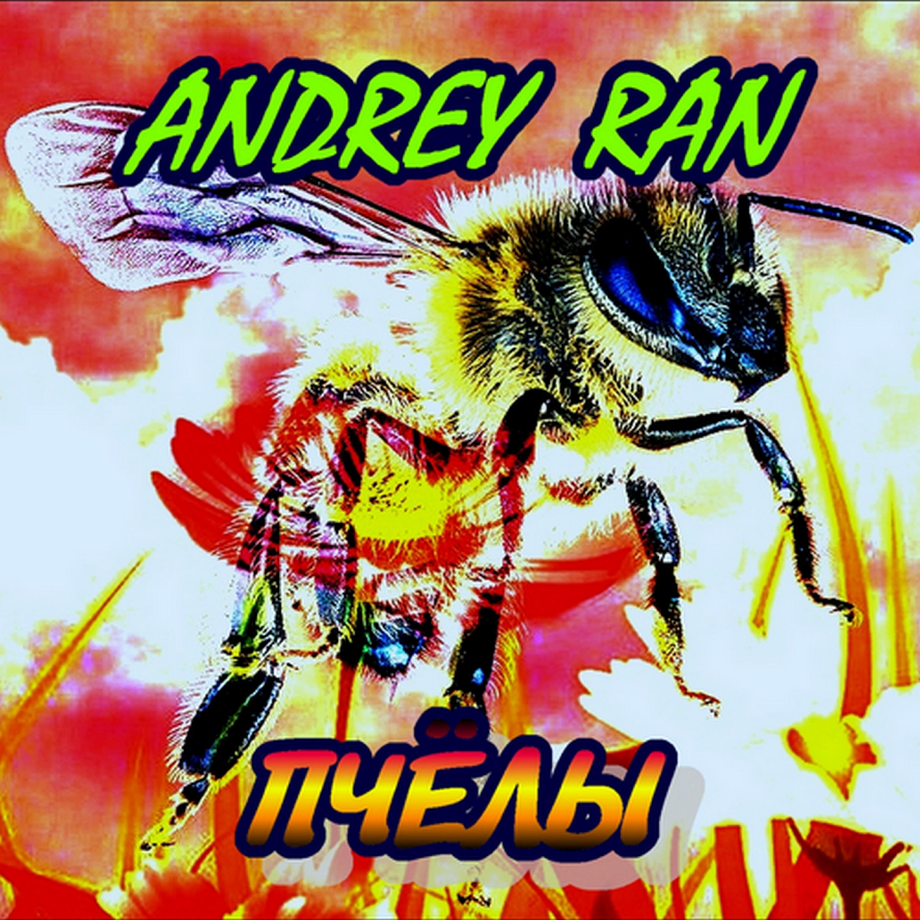 Andrey Ran