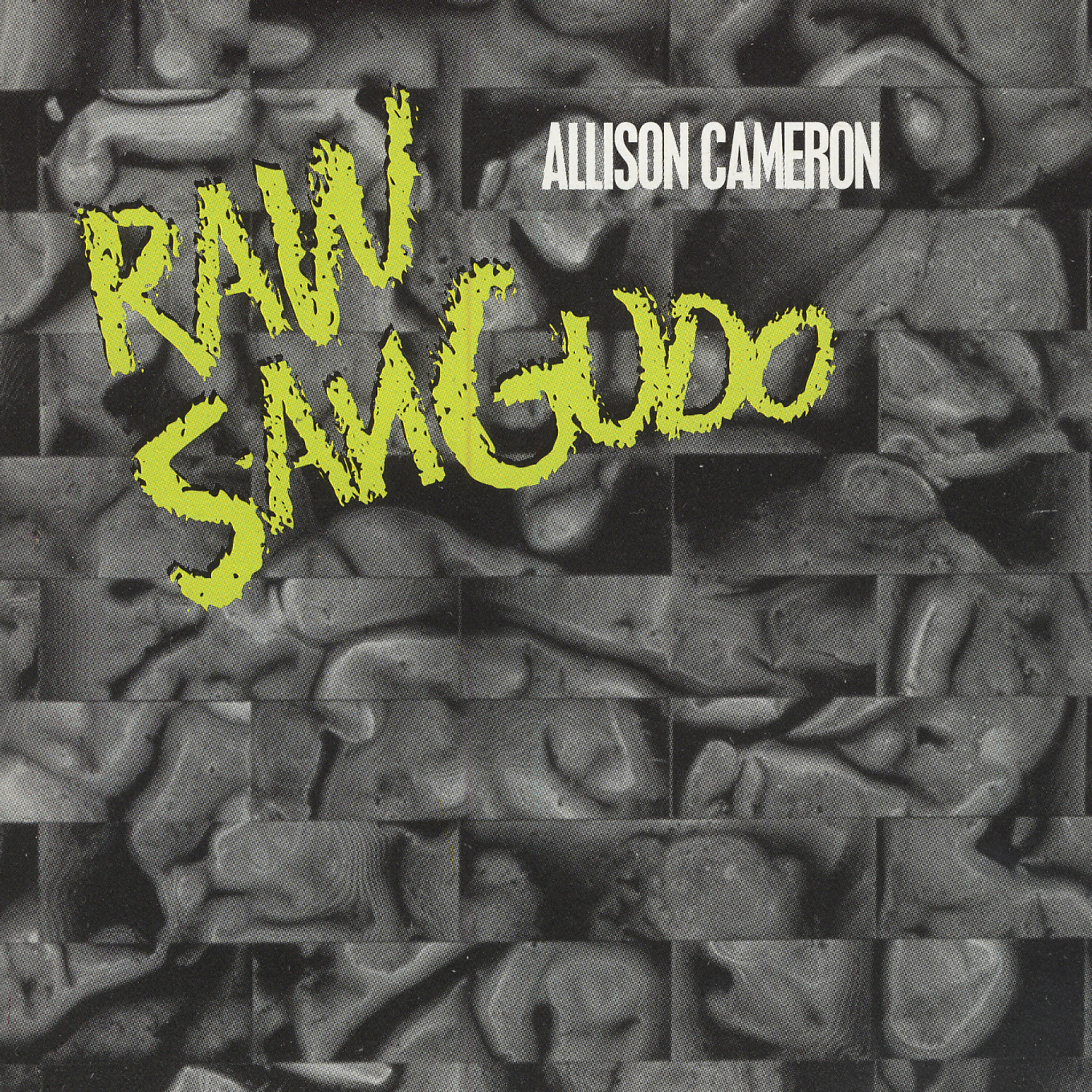 Релиз Raw Sangudo