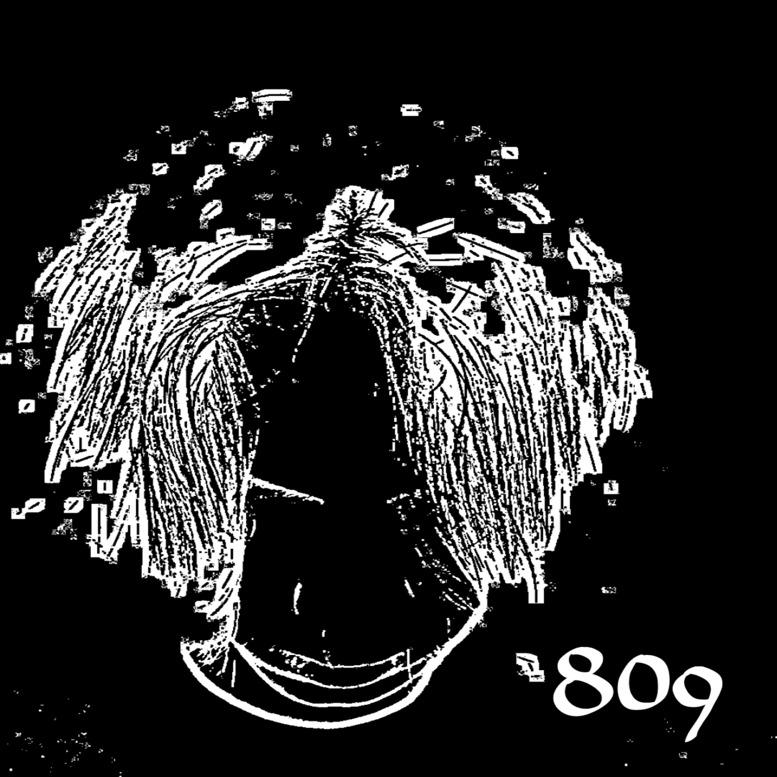 Релиз 809