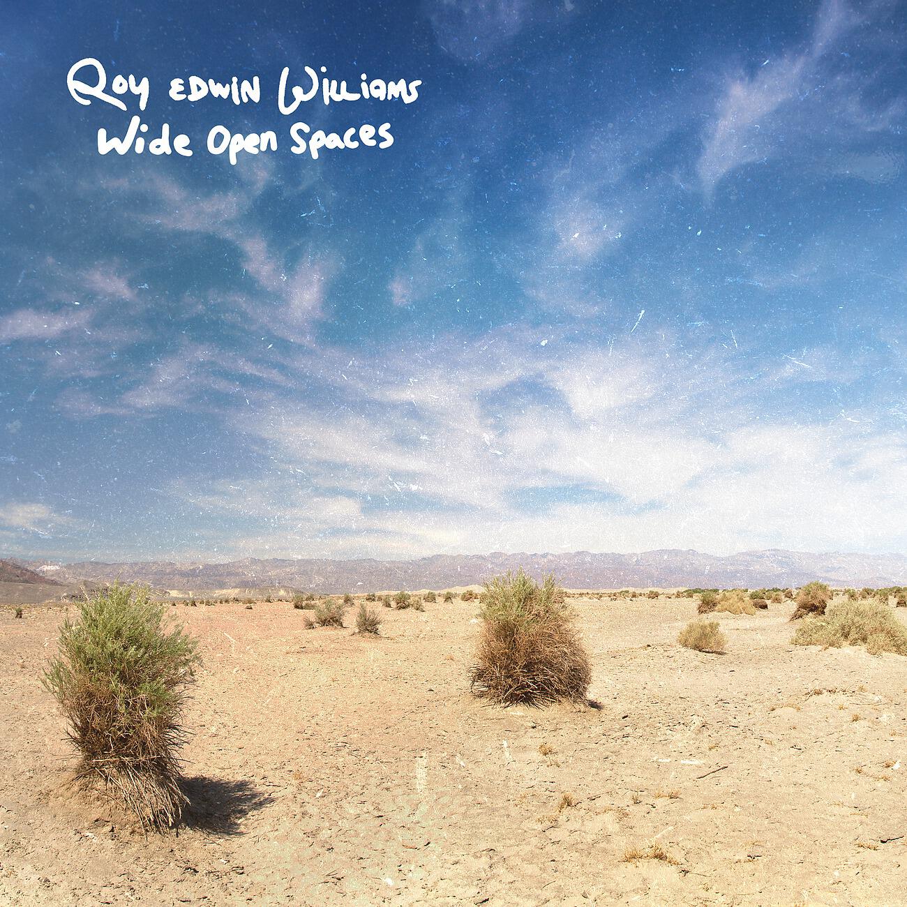 Релиз Wide Open Spaces