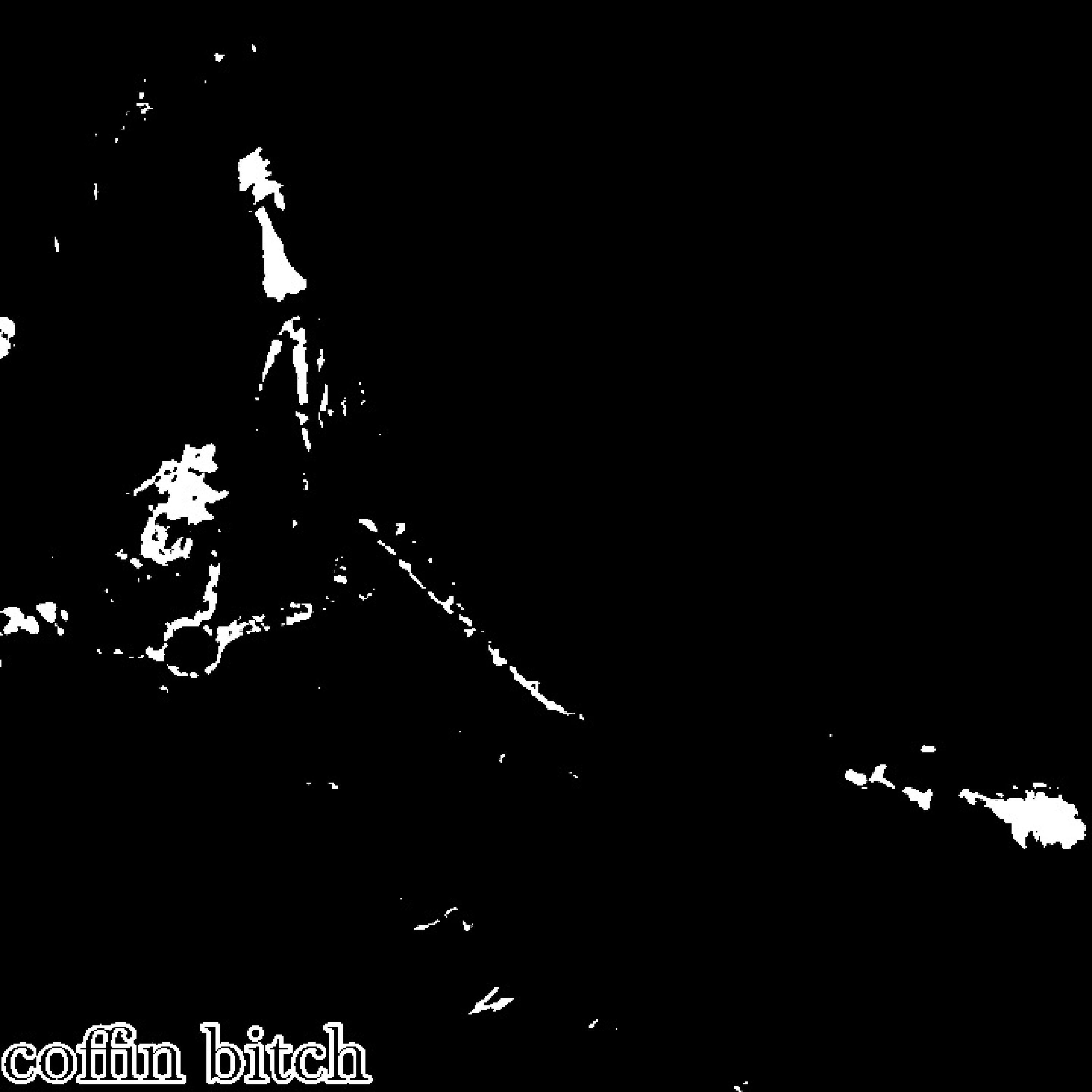 Релиз Coffin Bitch