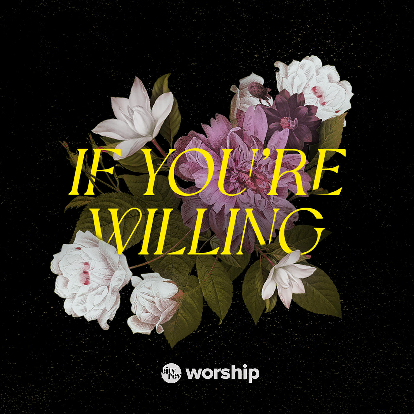 Релиз If You're Willing
