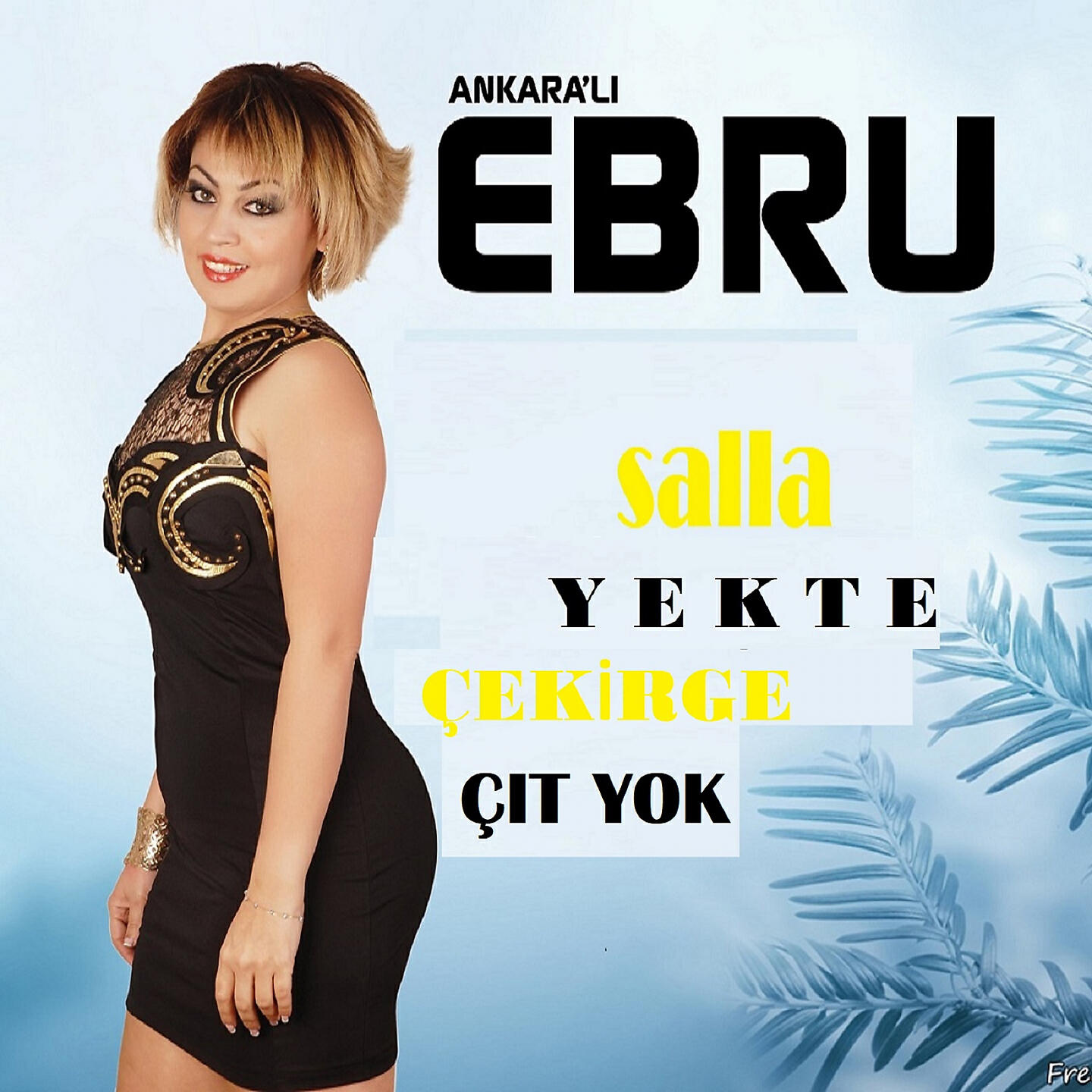 Релиз Salla