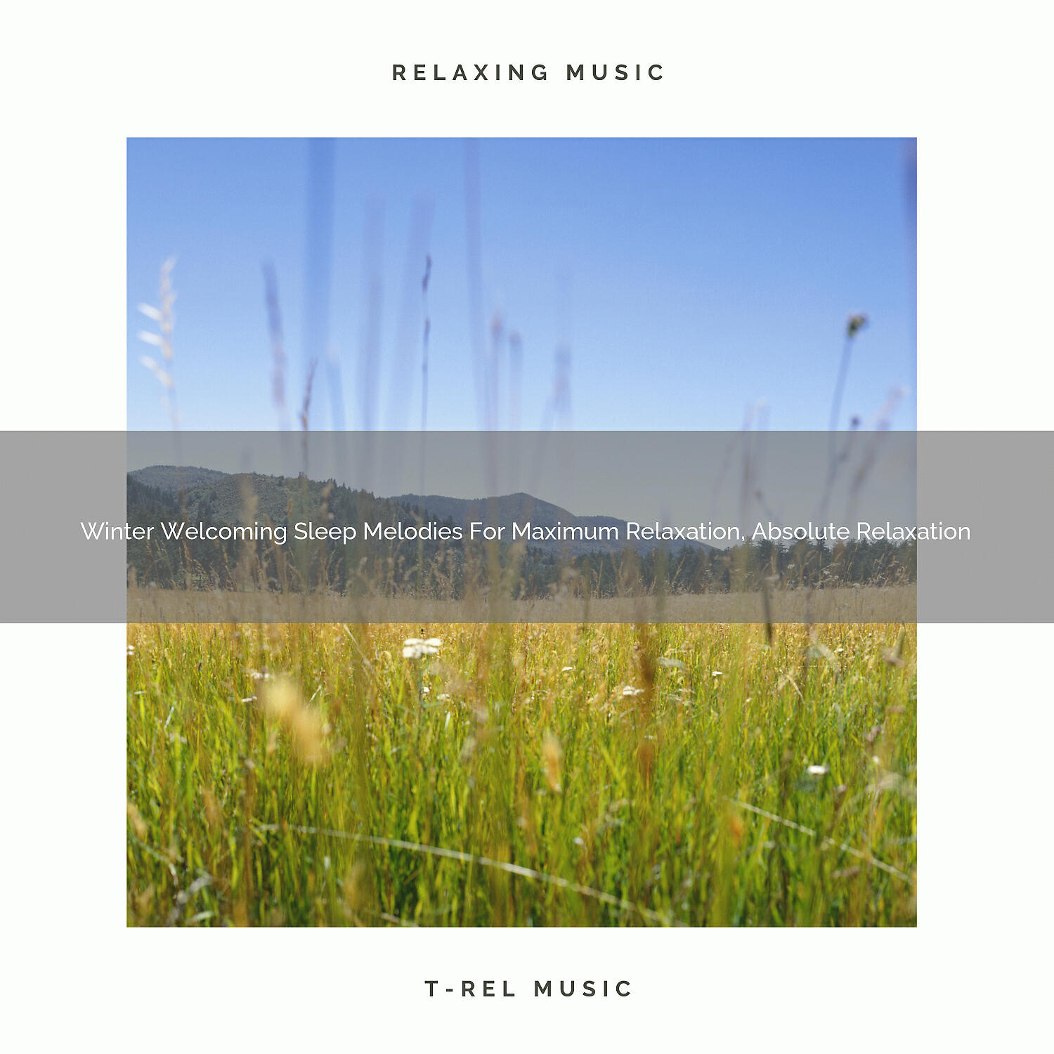 Релиз Winter Welcoming Sleep Melodies For Maximum Relaxation, Absolute Relaxation