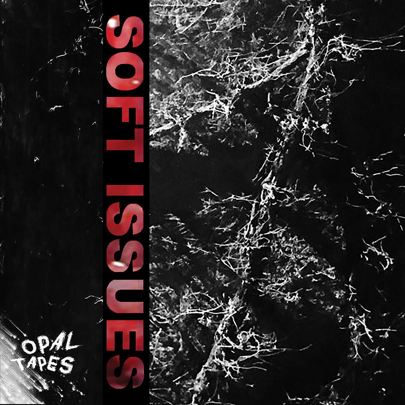 Soft Issues