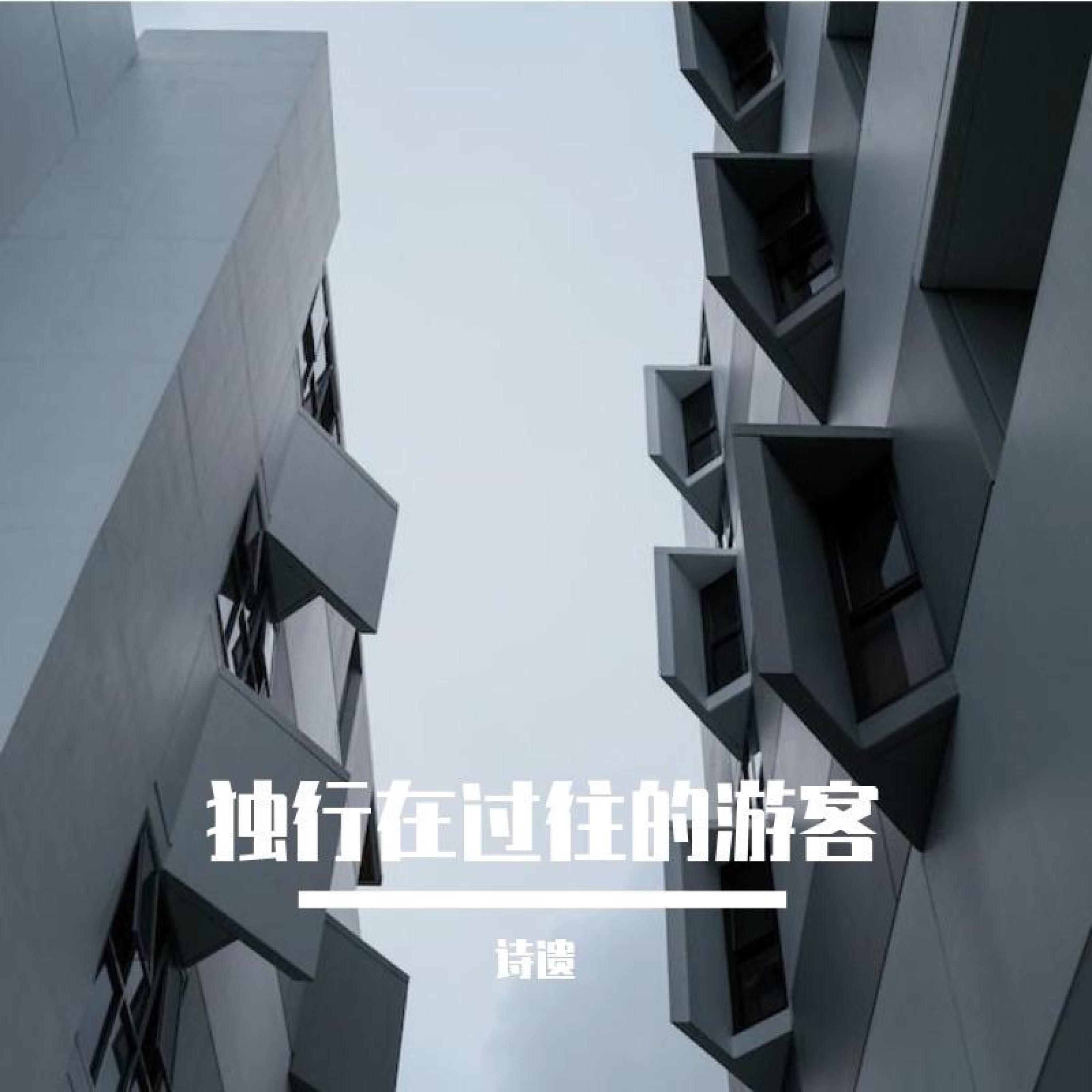 Релиз 独行在过往的游客