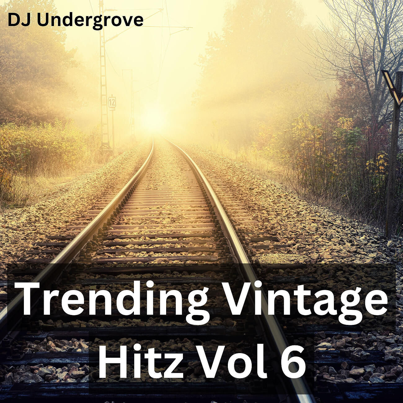 Релиз Trending Vintage Hitz Vol 6