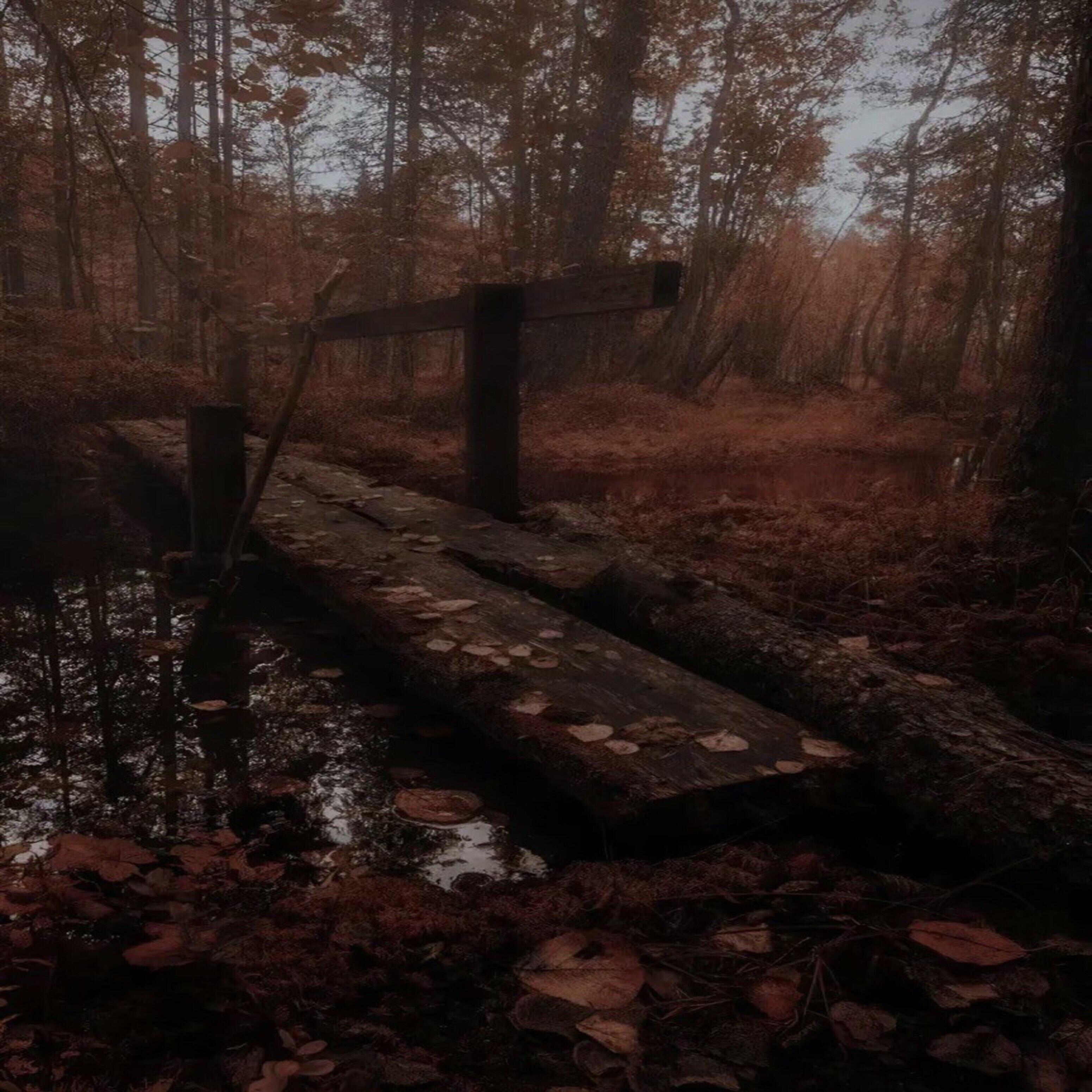 реквием по мечте