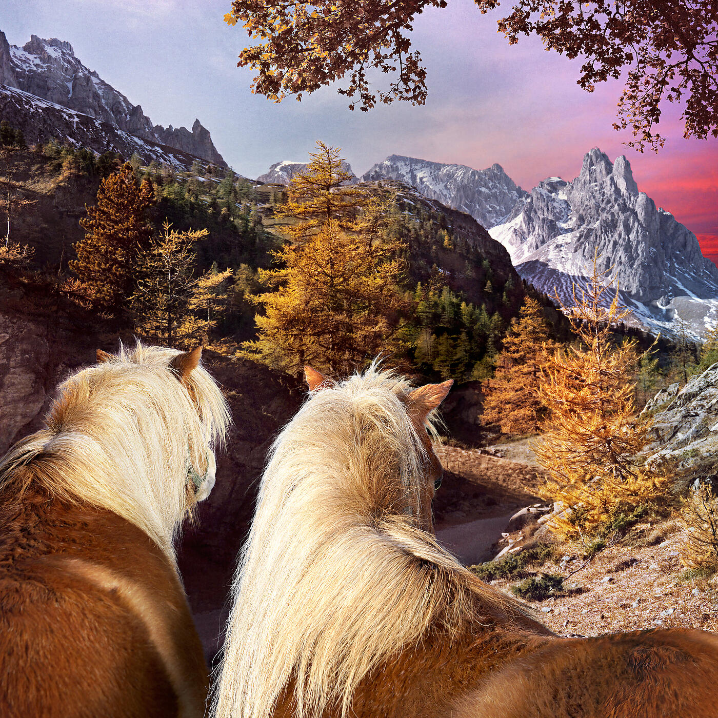 Релиз Seasons