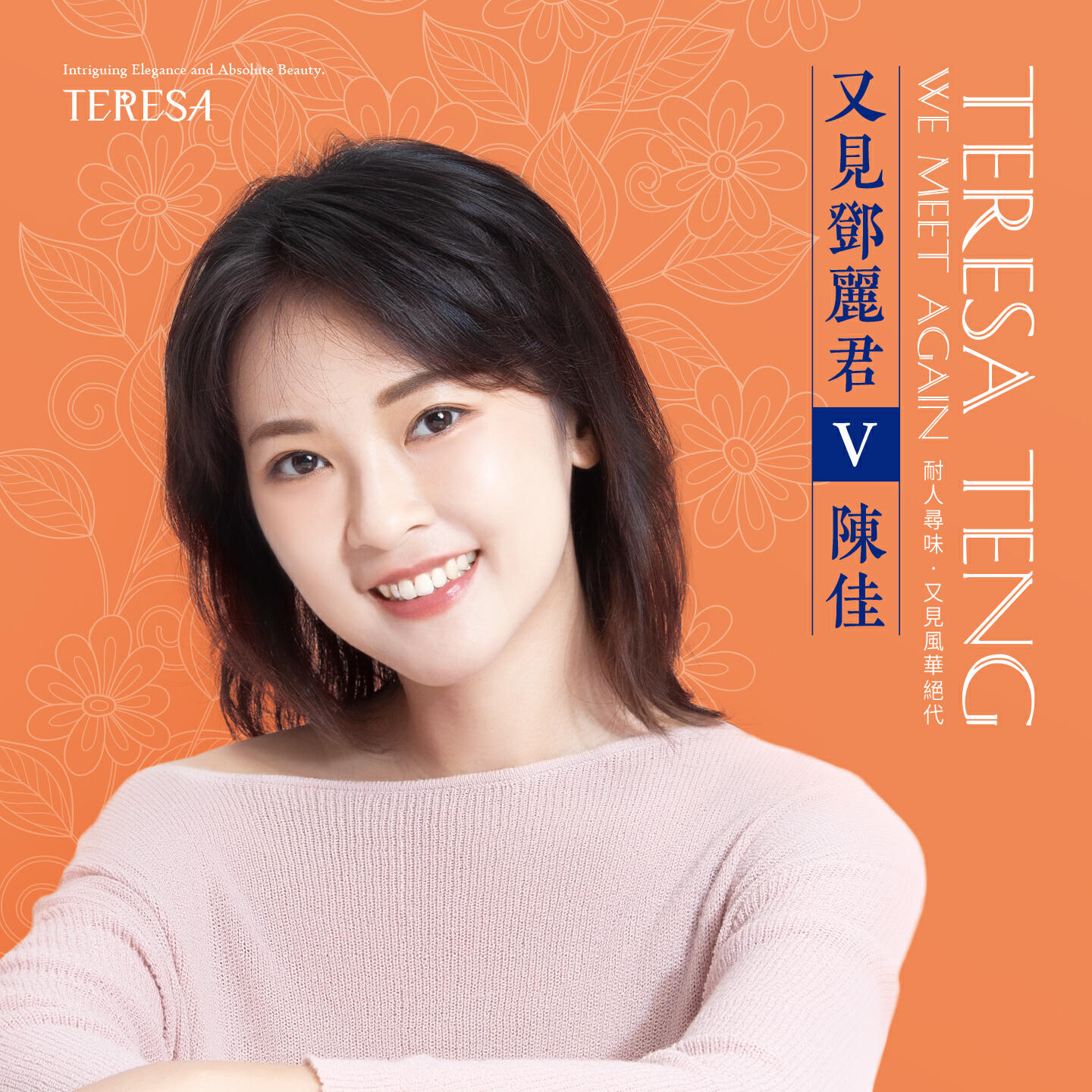 Постер альбома 又见邓丽君V
