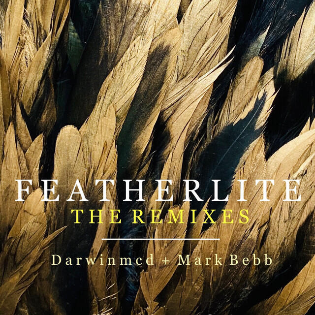 Постер альбома Featherlite: The Remixes