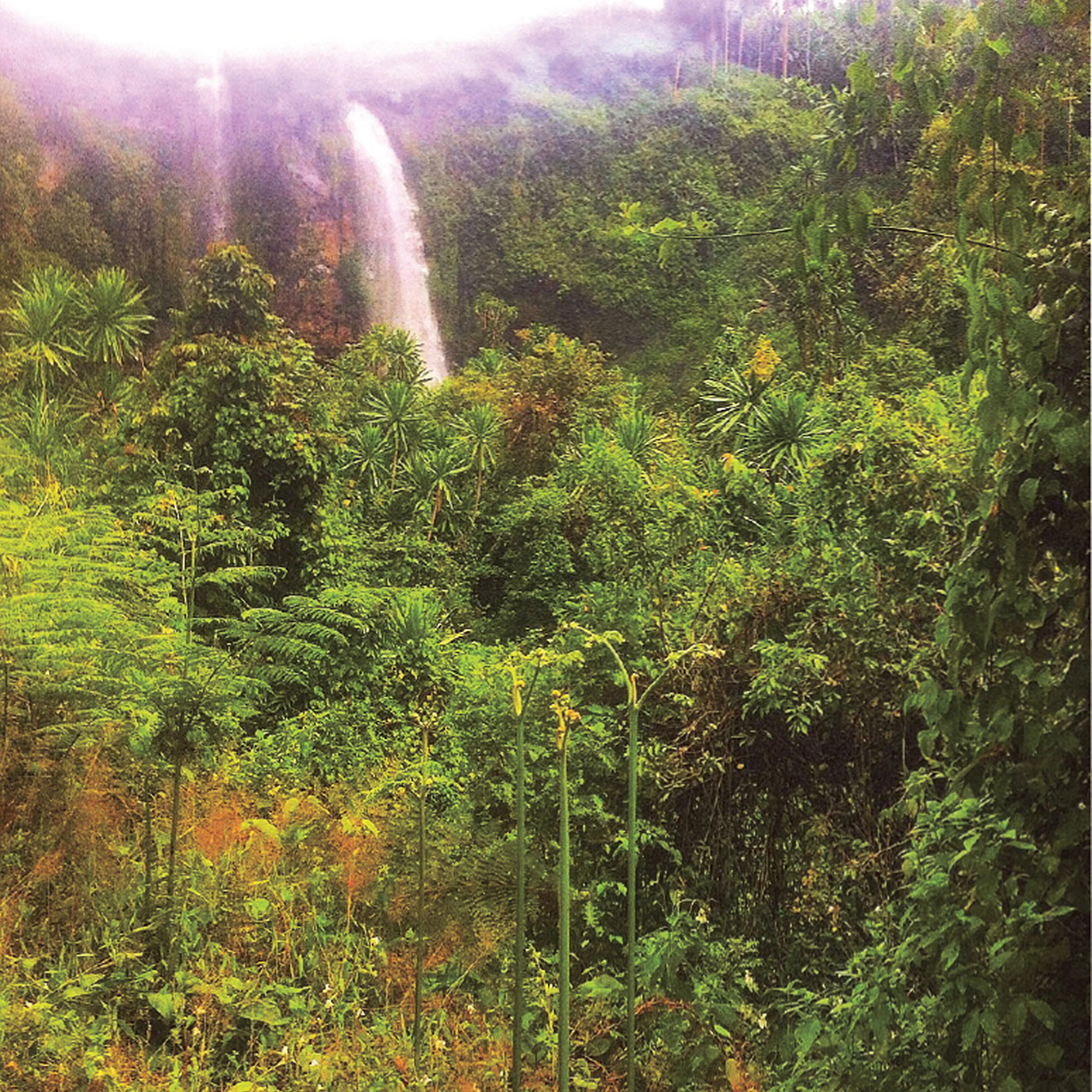 Релиз Memorias, Vol. 1 - Bugandan Sacred Places