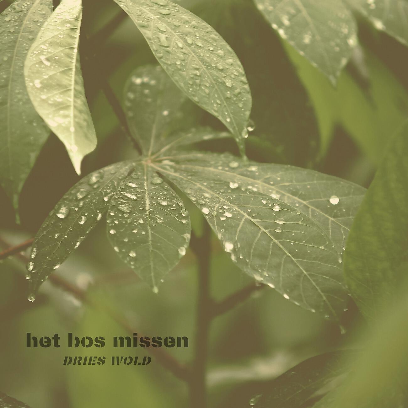 Релиз het bos missen