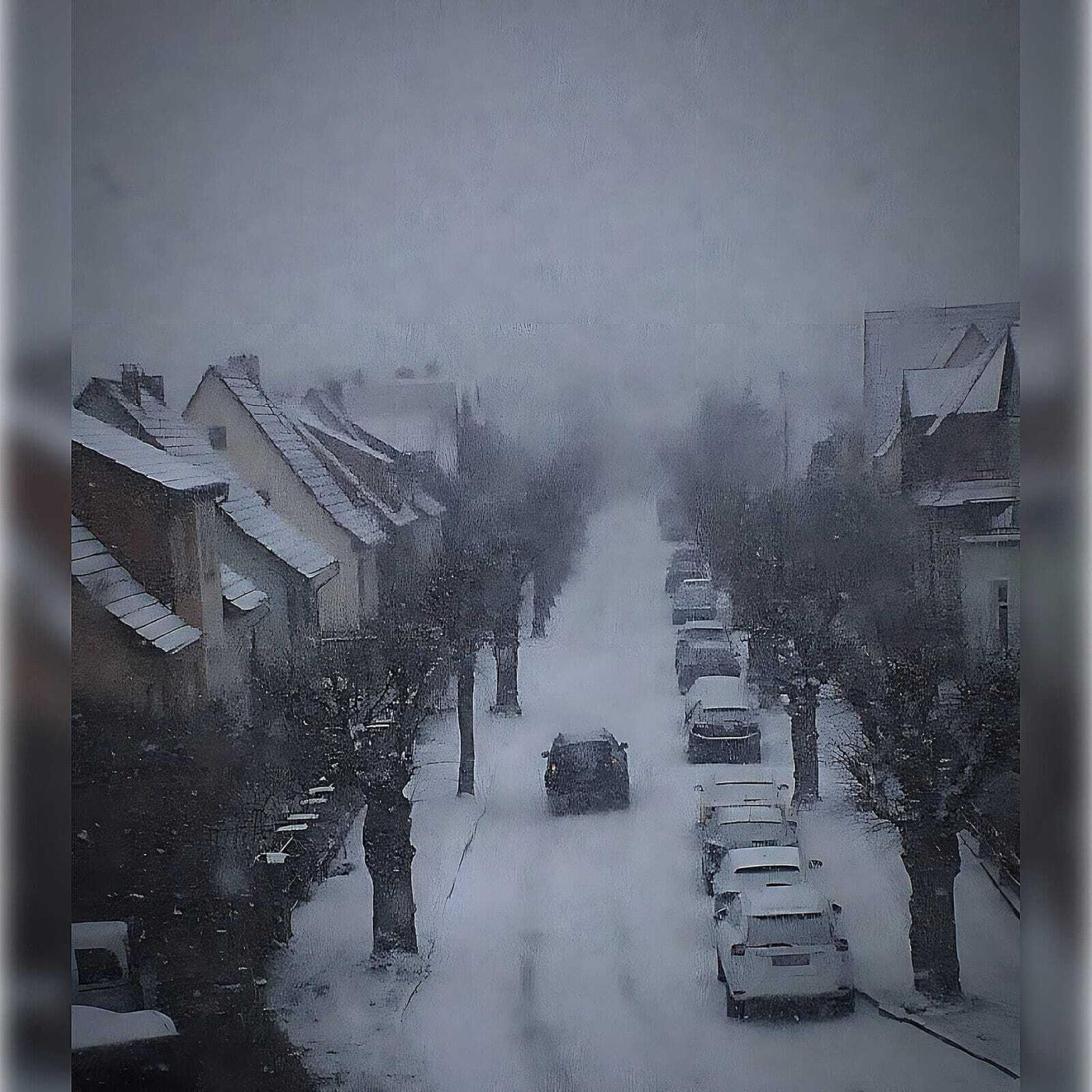 Elanski